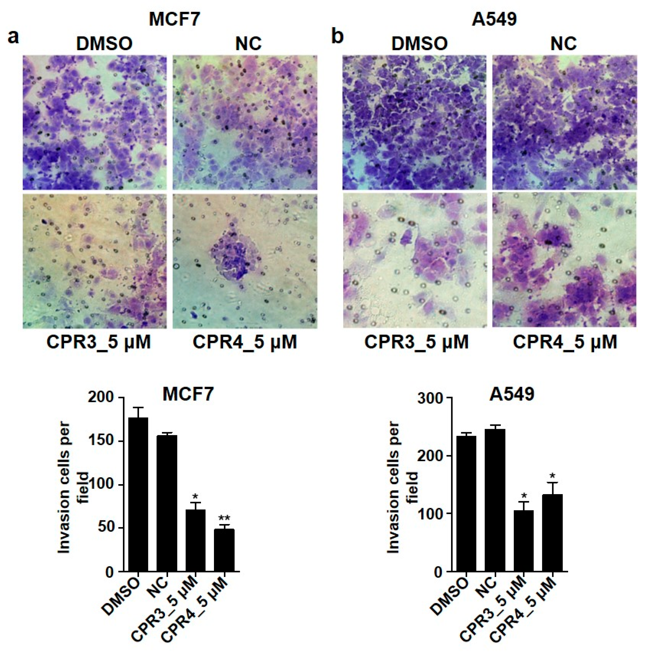 Molecules 25 01948 g005 Molecules 25 01948 g005