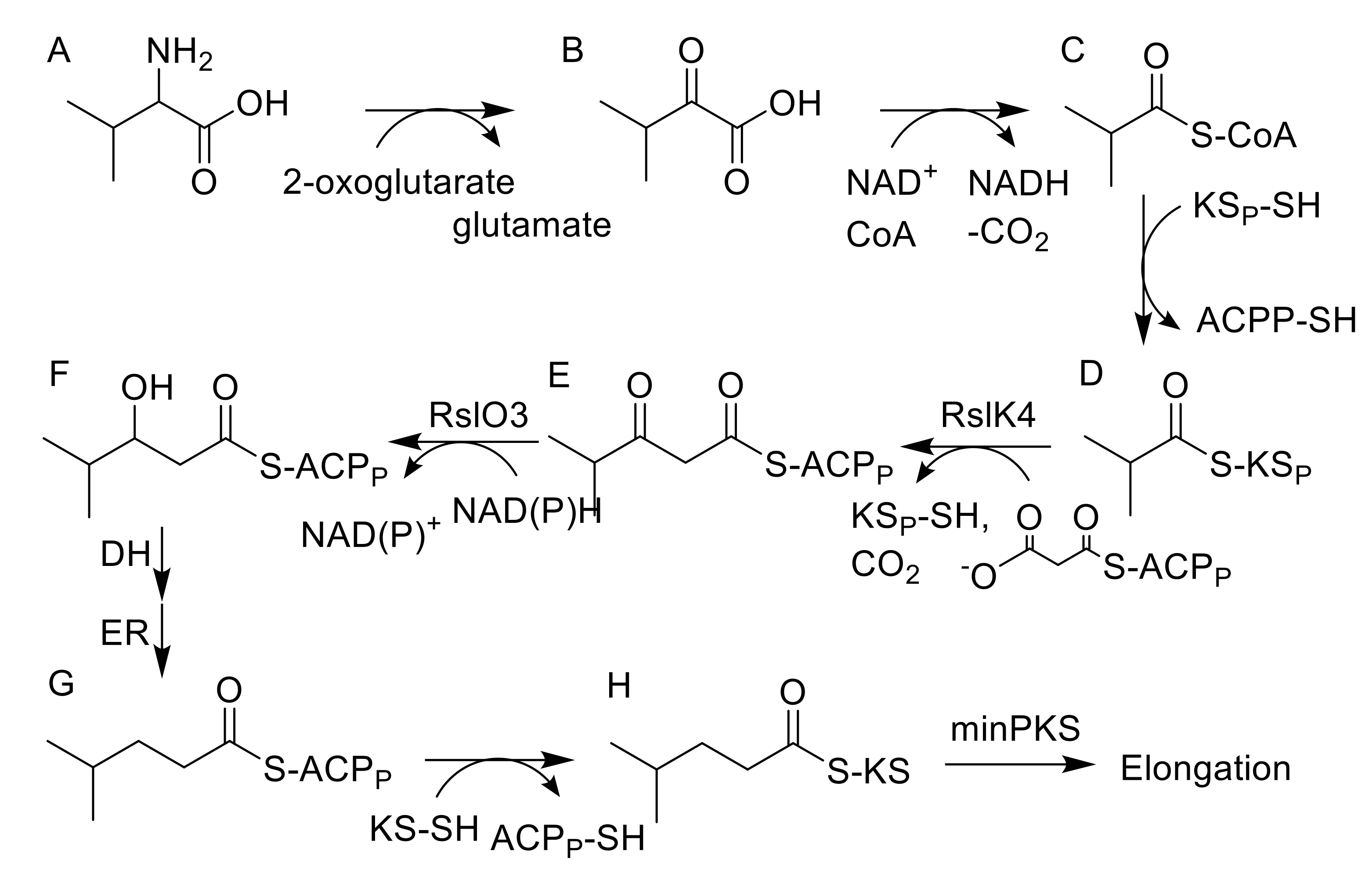 Molecules 25 01955 g003 Molecules 25 01955 g003