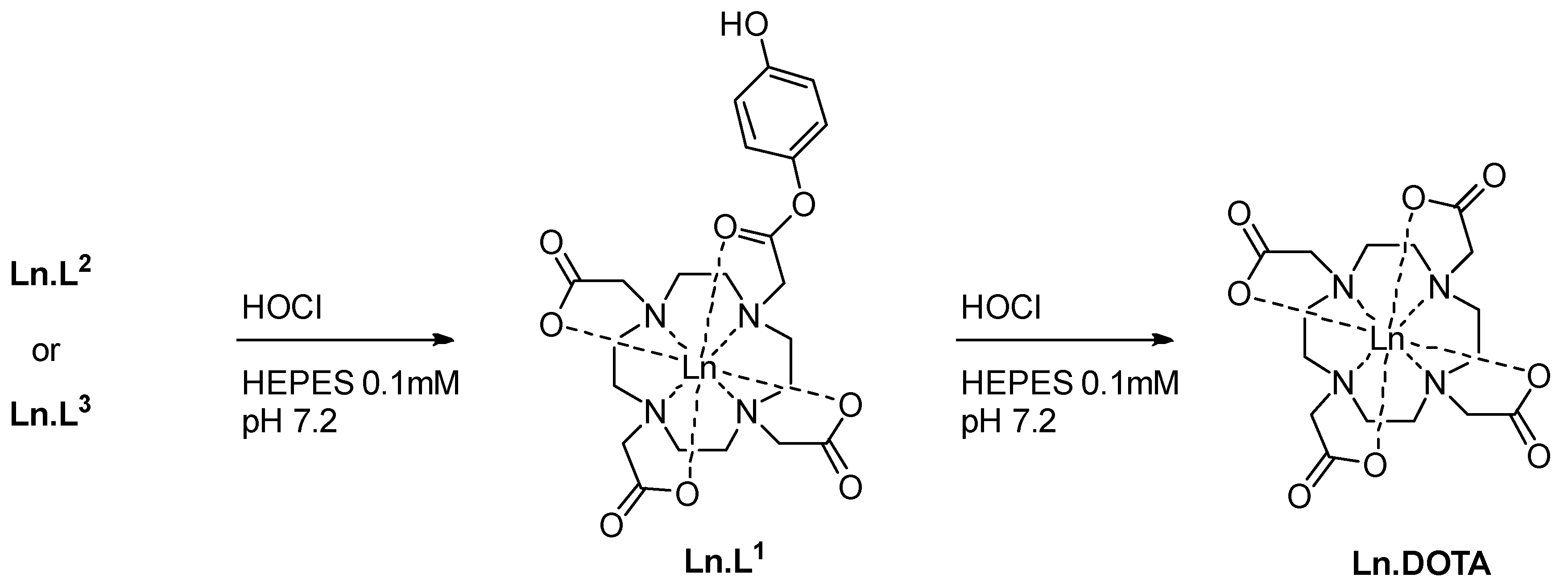 Molecules 25 01959 sch001 Molecules 25 01959 sch001