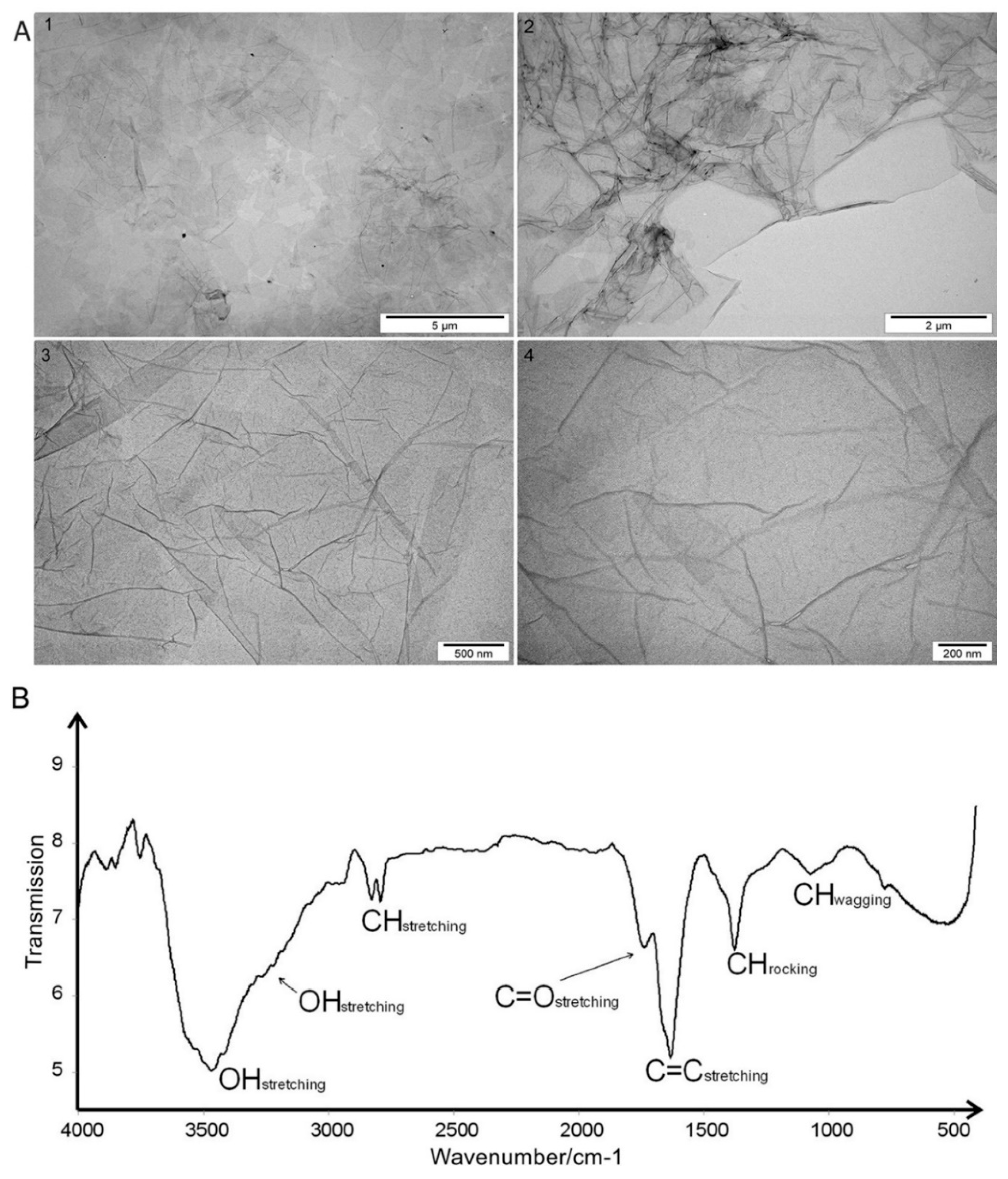 Molecules 25 01991 g001 Molecules 25 01991 g001
