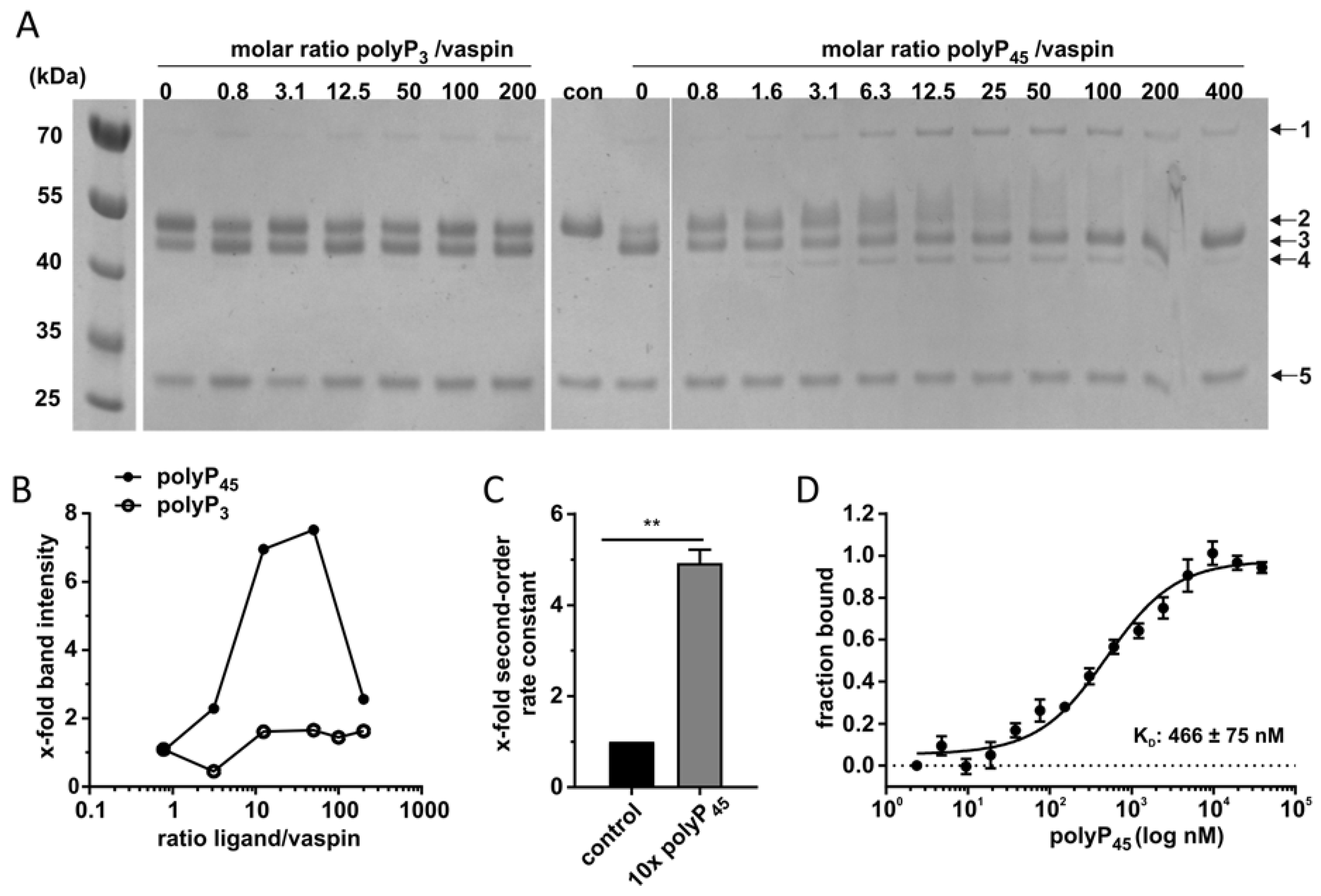 Molecules 25 01992 g003 Molecules 25 01992 g003