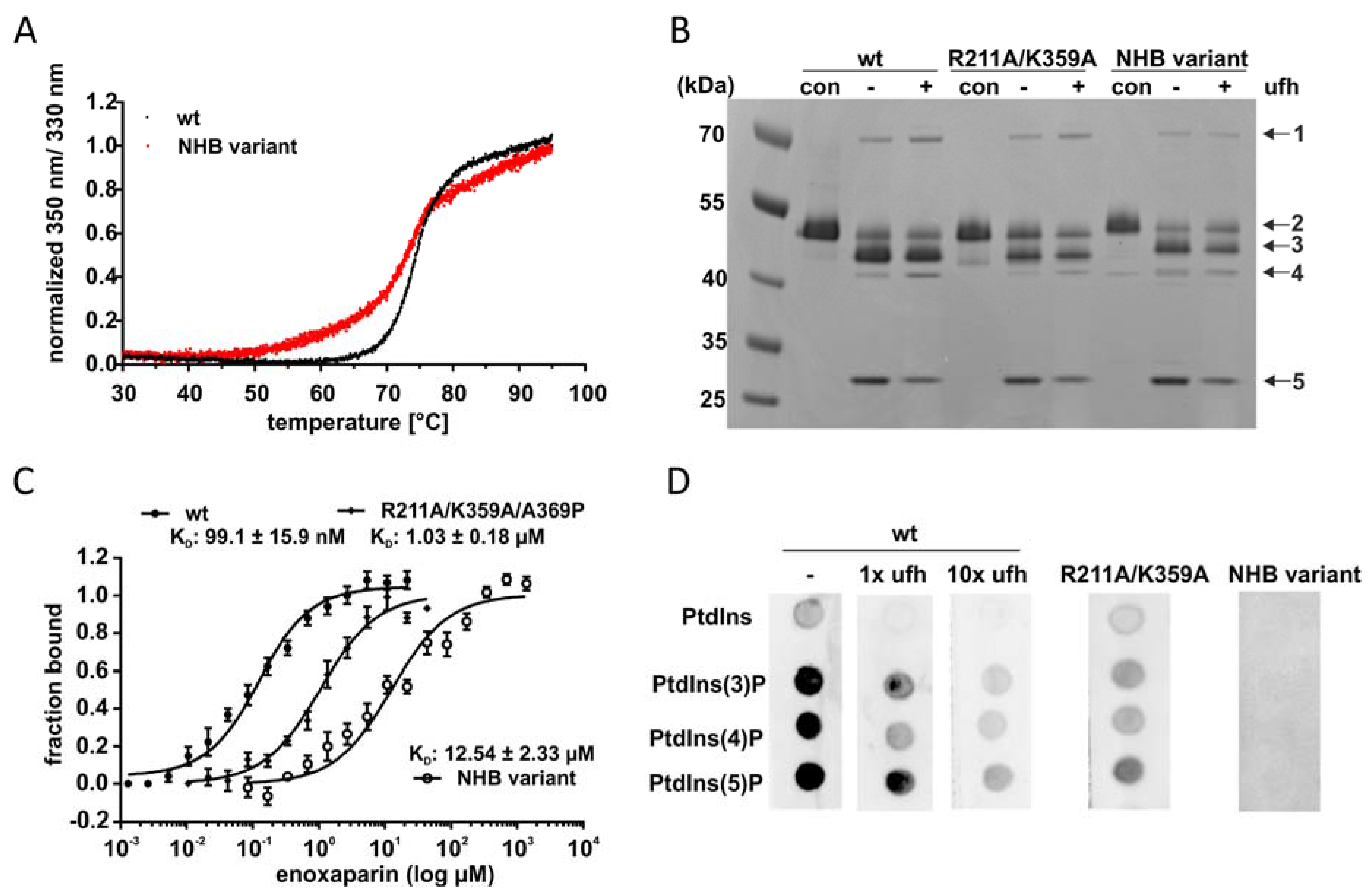 Molecules 25 01992 g004 Molecules 25 01992 g004