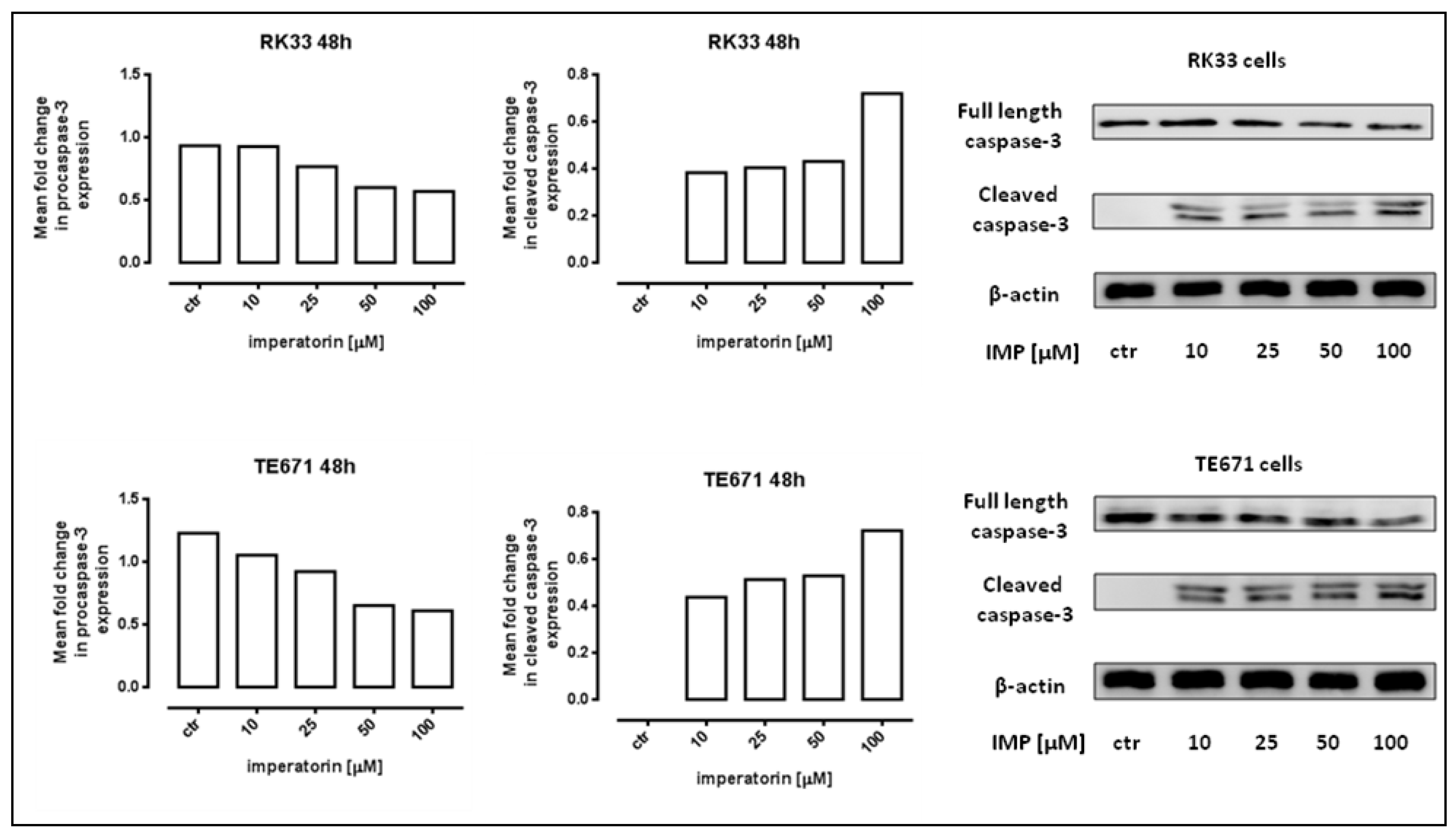 Molecules 25 02046 g004