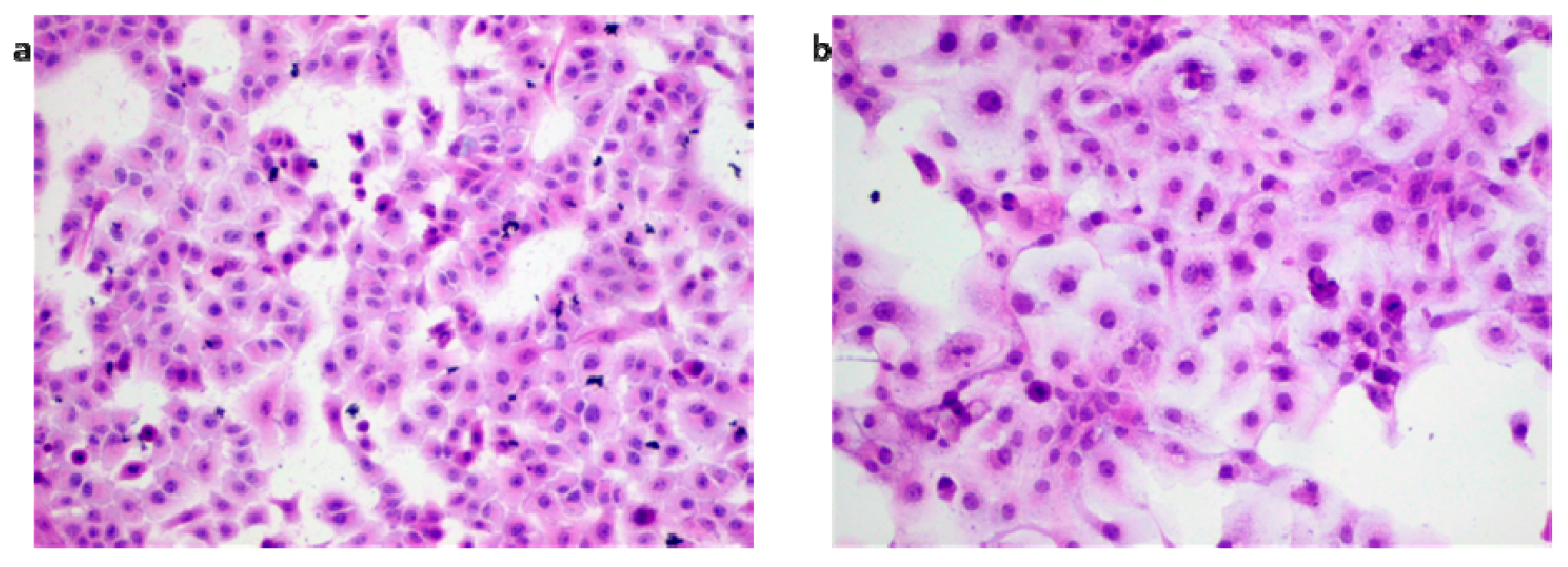 Molecules 25 02046 g007