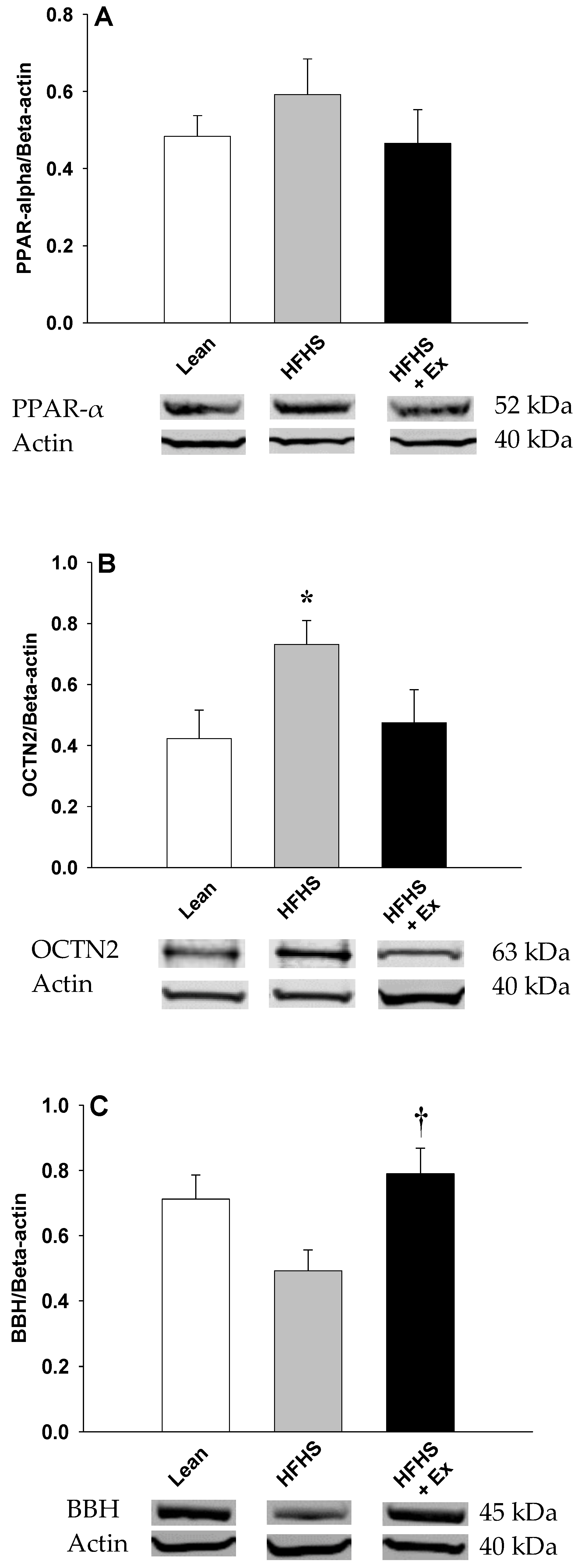 Molecules 25 02100 g002 Molecules 25 02100 g002