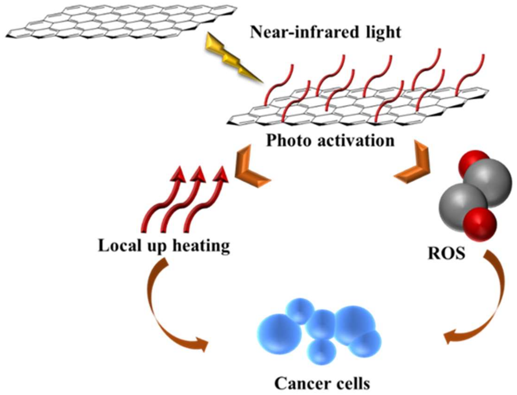 Molecules 25 02102 g004 Molecules 25 02102 g004