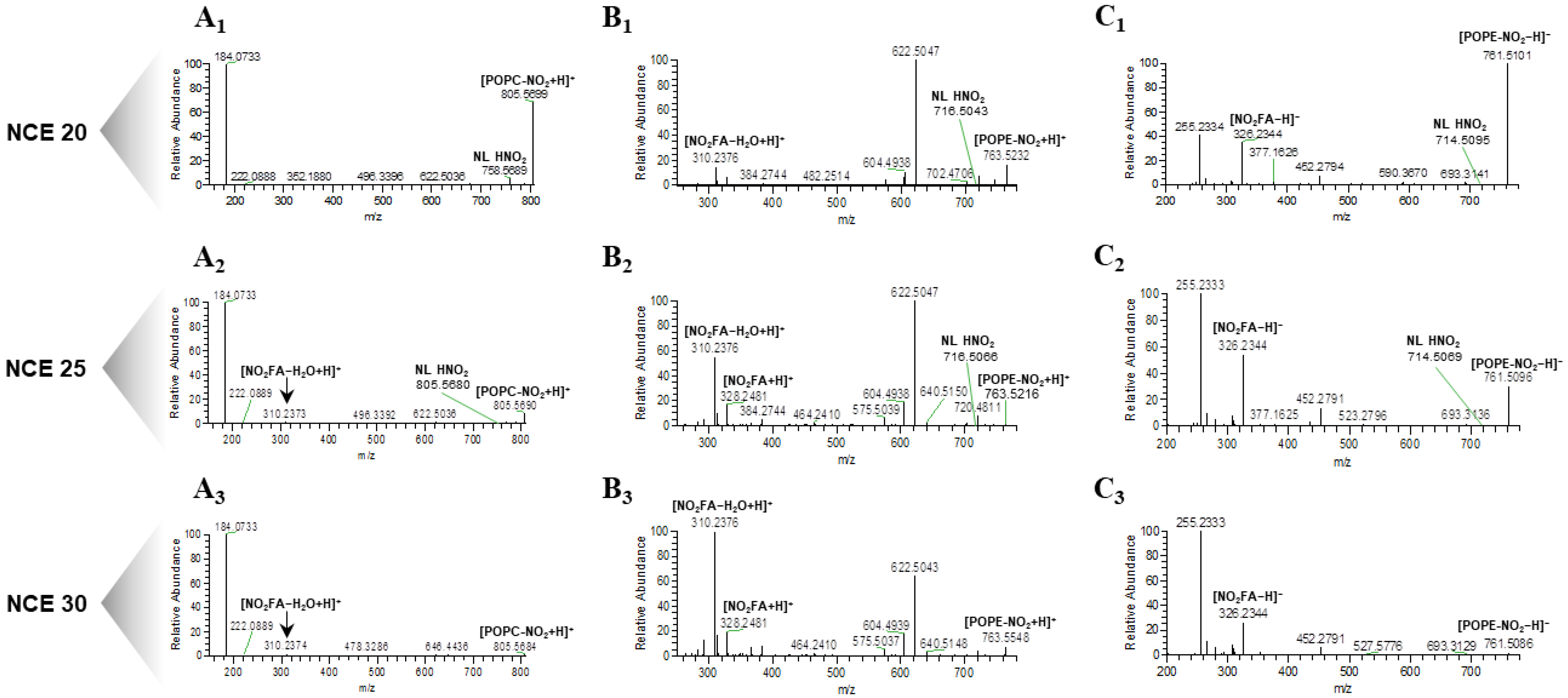 Molecules 25 02120 g001