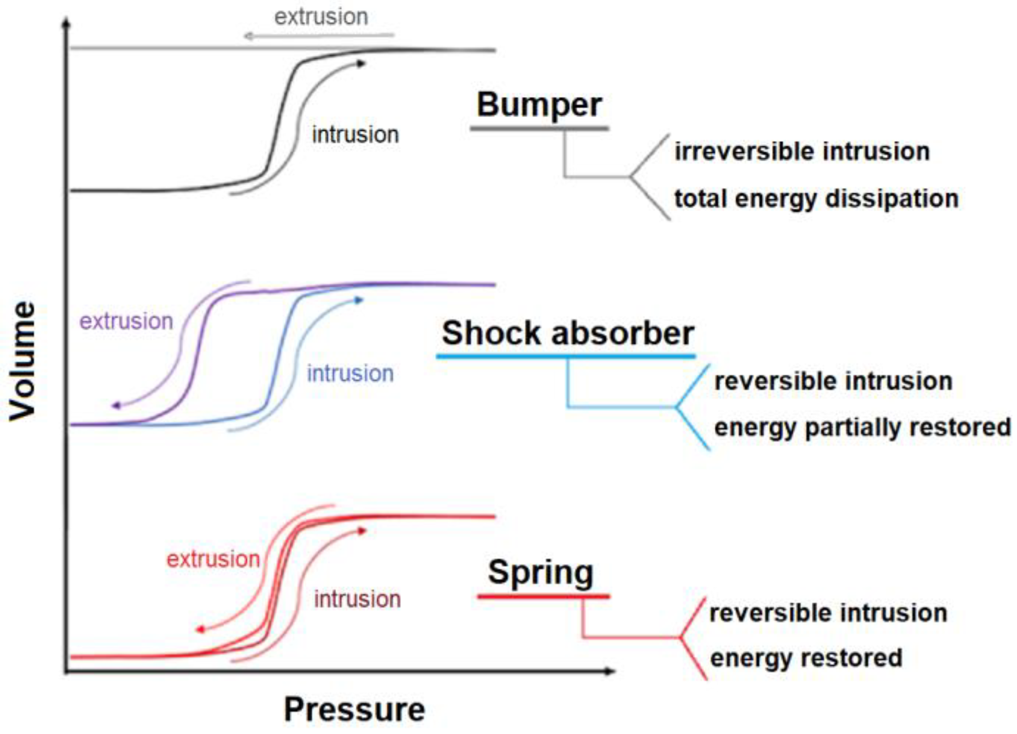 Molecules 25 02145 g001