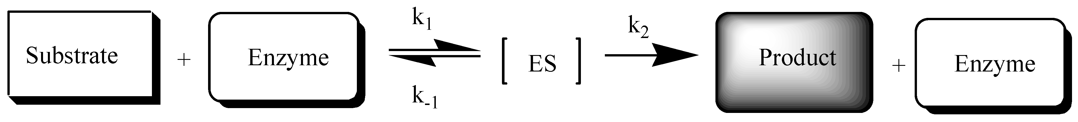 Molecules 25 02156 sch001 Molecules 25 02156 sch001