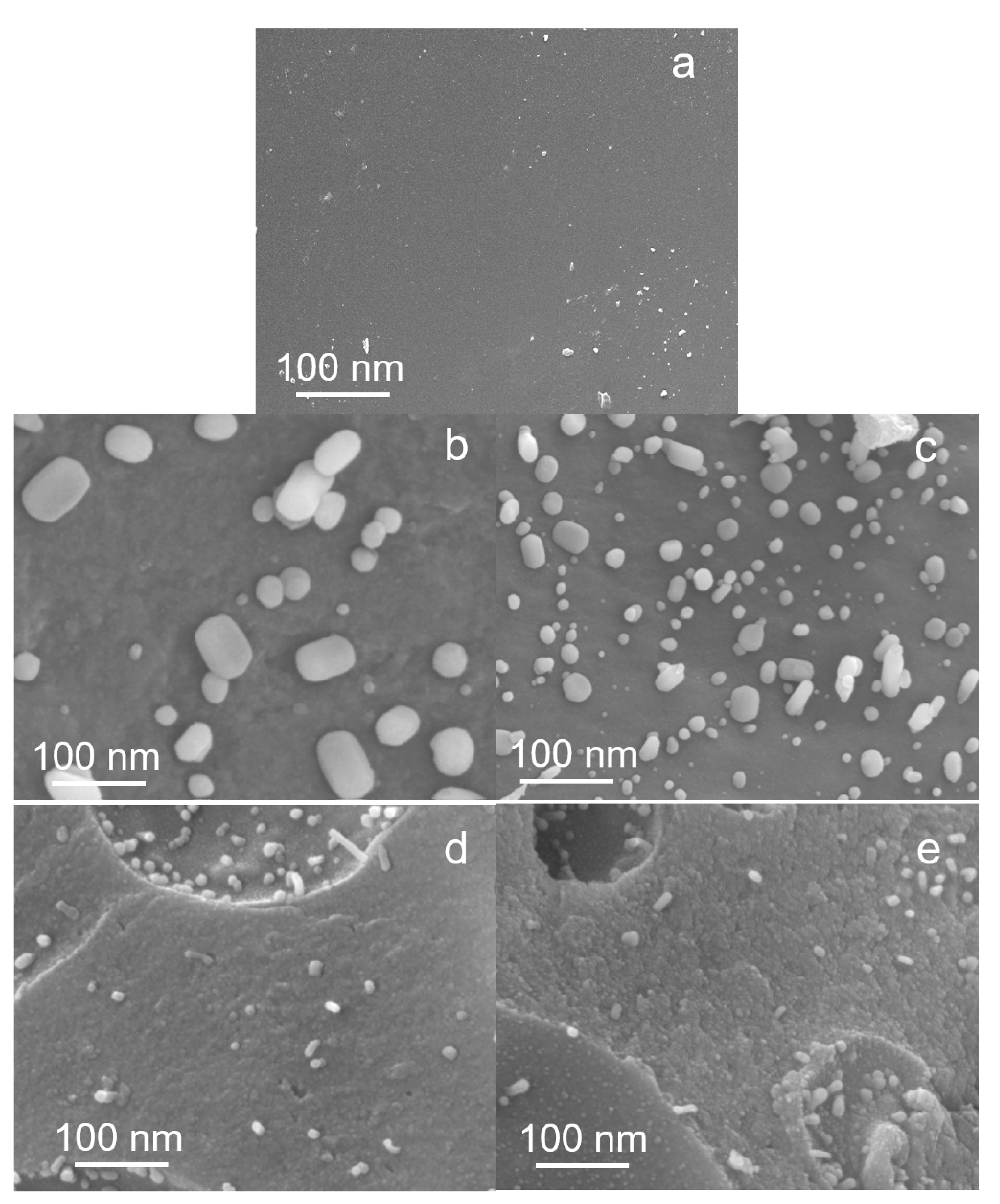Molecules 25 02167 g007 Molecules 25 02167 g007