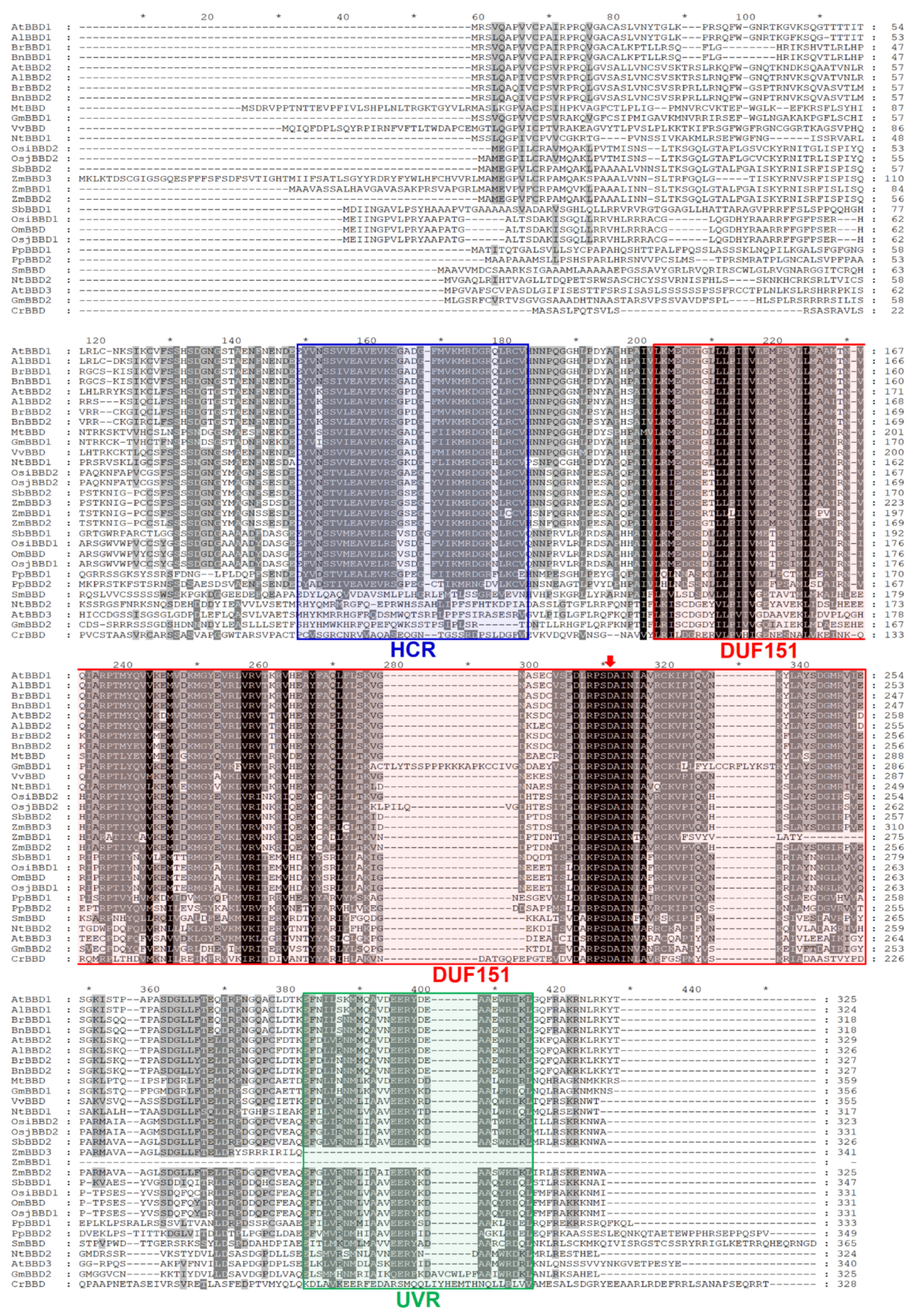 Molecules 25 02169 g002