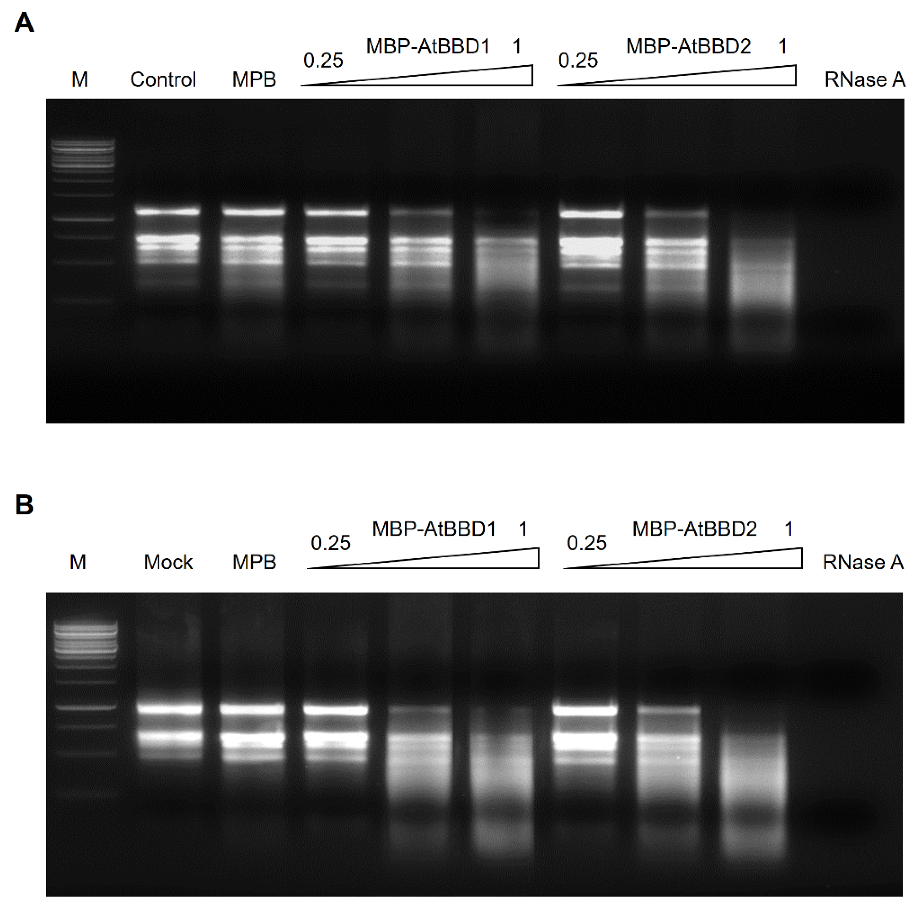 Molecules 25 02169 g007