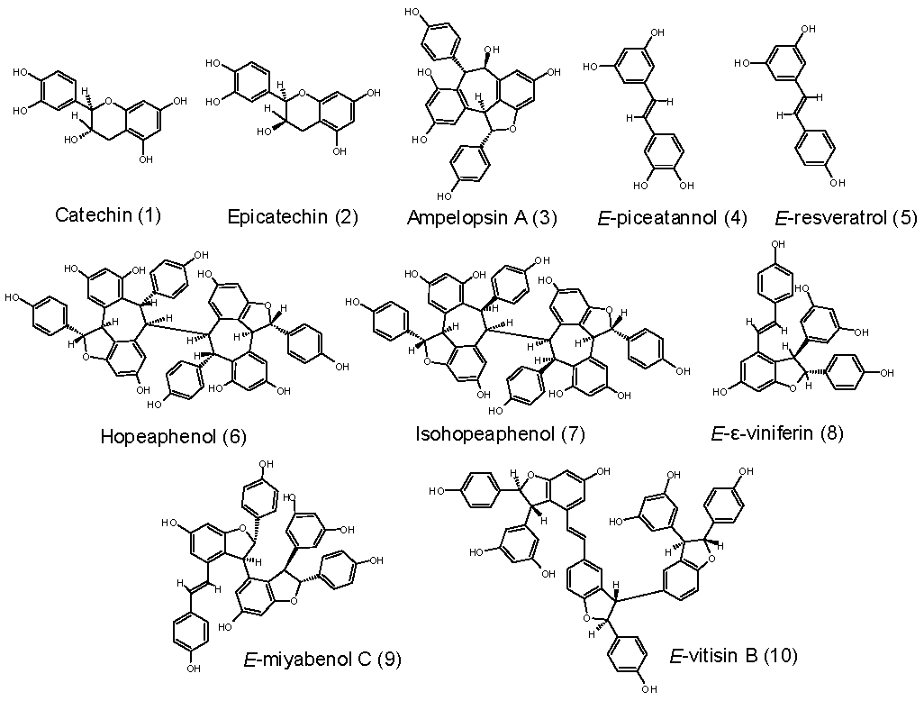 Molecules 25 02203 g001 Molecules 25 02203 g001