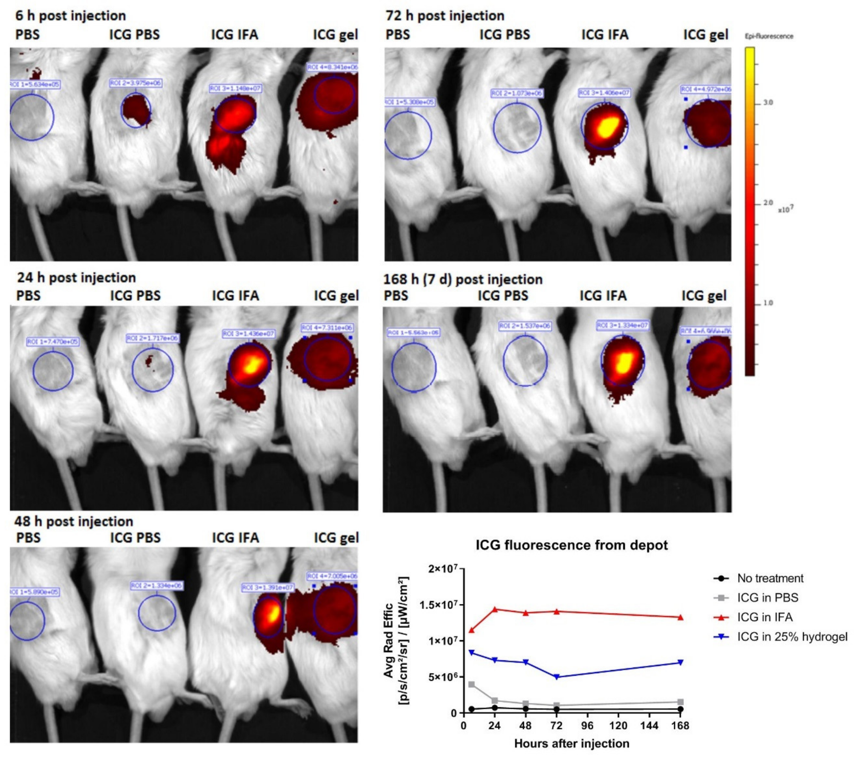 Molecules 25 02219 g006 Molecules 25 02219 g006