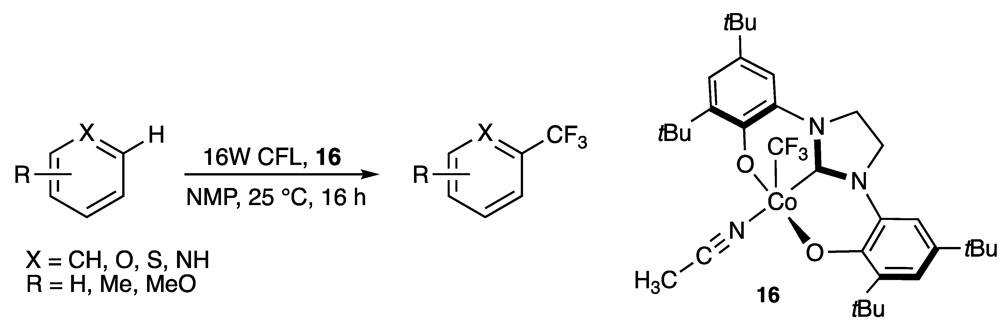 Molecules 25 02231 sch007 Molecules 25 02231 sch007