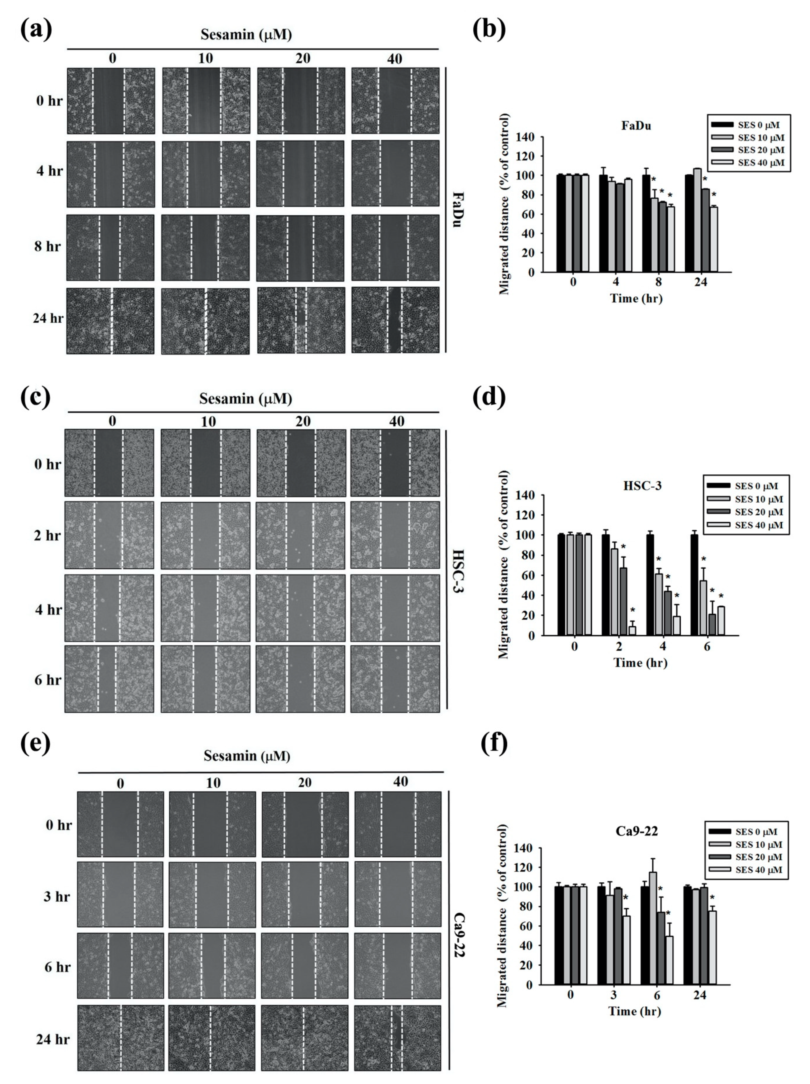 Molecules 25 02248 g002 Molecules 25 02248 g002
