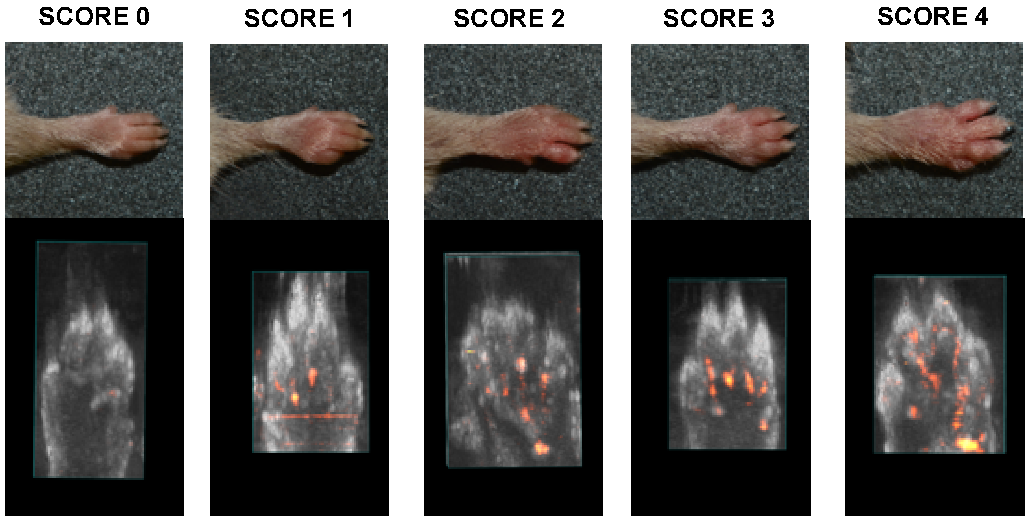 Molecules 25 02255 g005