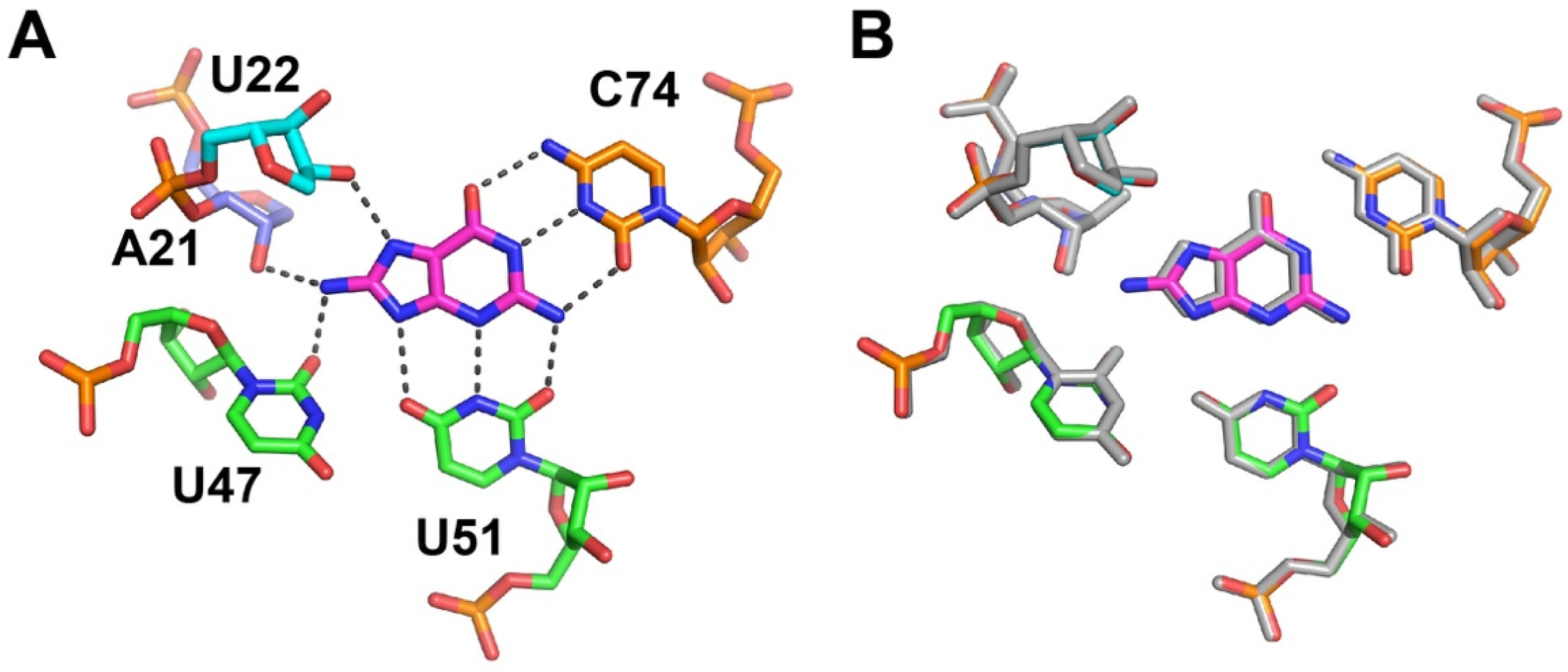 Molecules 25 02295 g002 Molecules 25 02295 g002