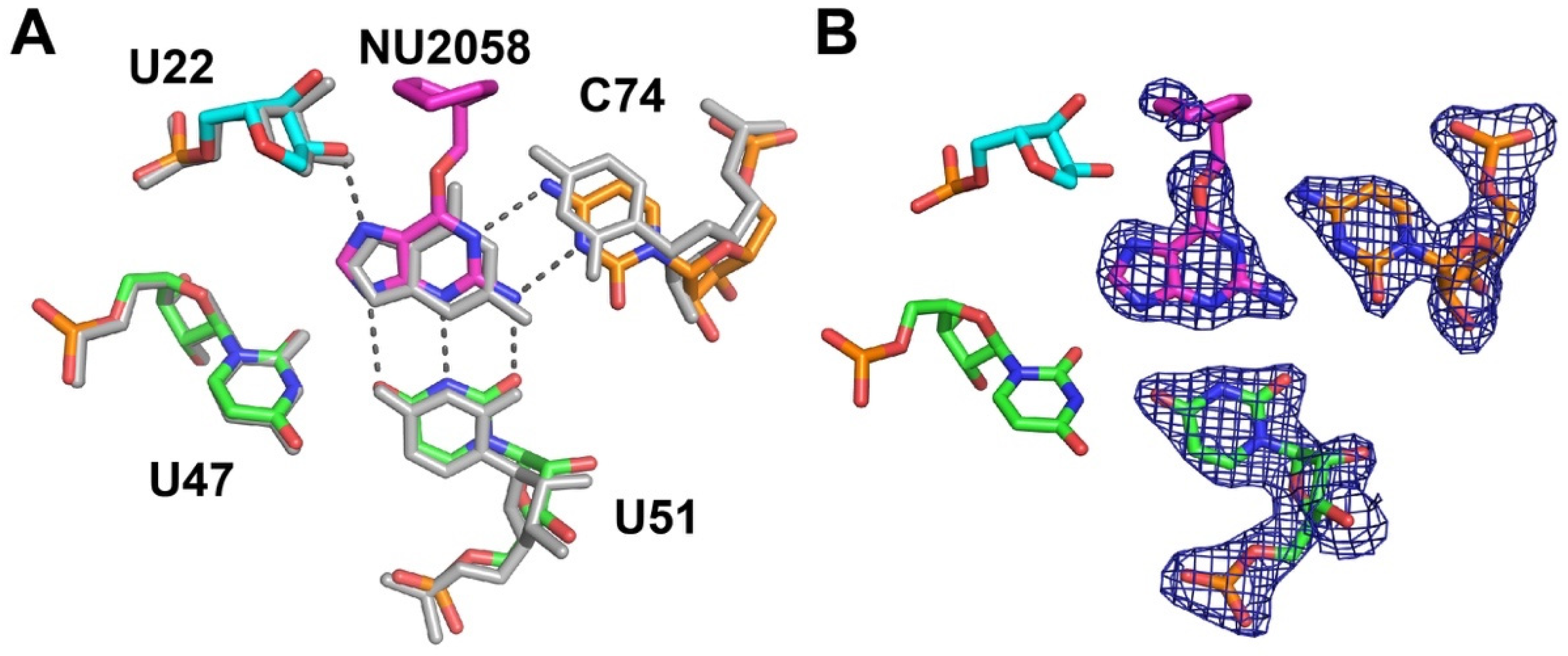 Molecules 25 02295 g003 Molecules 25 02295 g003