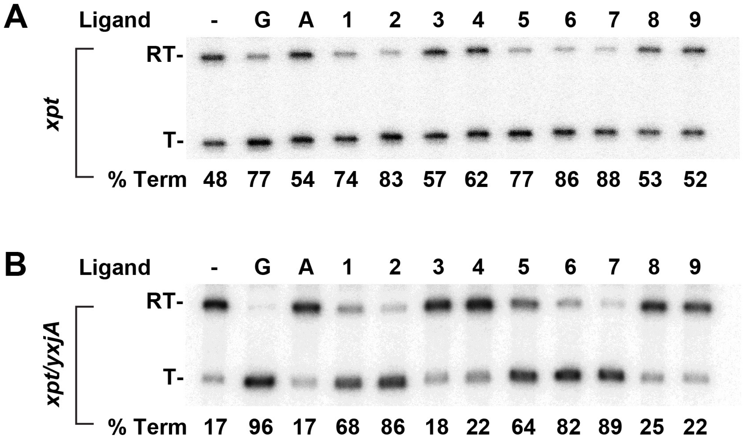 Molecules 25 02295 g005 Molecules 25 02295 g005