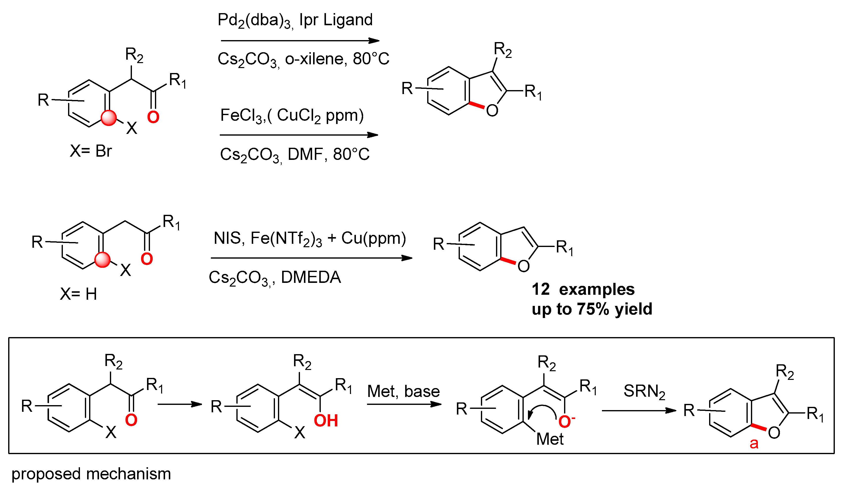 Molecules 25 02327 sch004 Molecules 25 02327 sch004