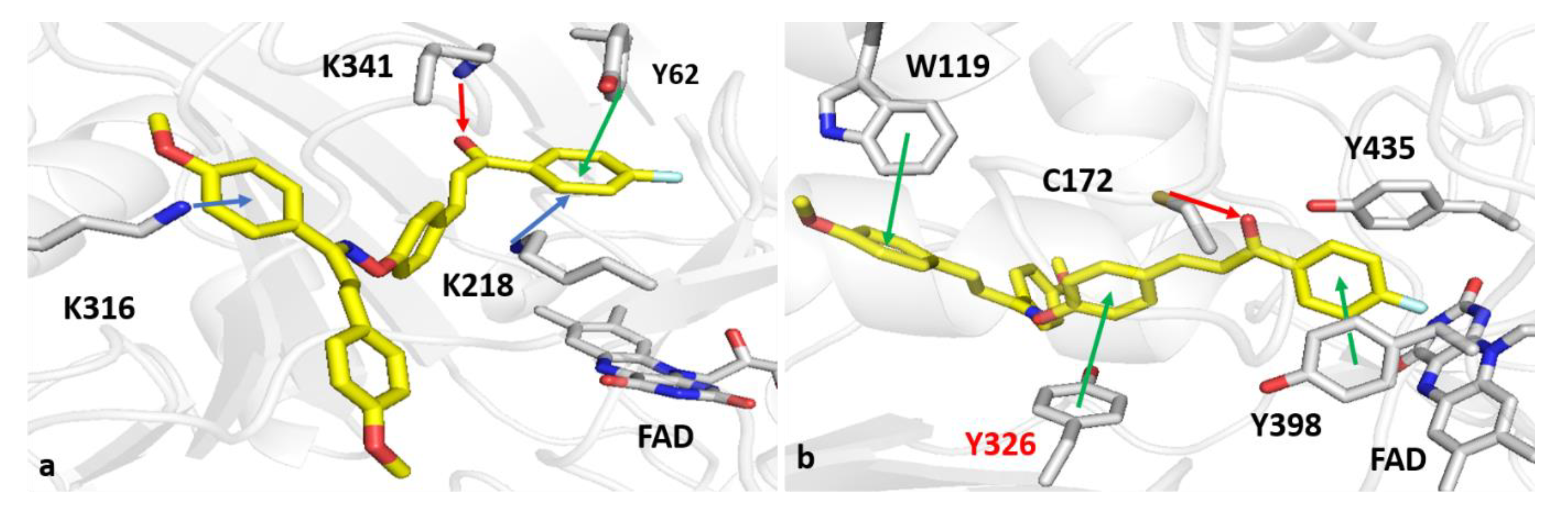 Molecules 25 02356 g005 Molecules 25 02356 g005