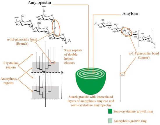 Molecules | Free Full-Text | A Review on the Effect of High Pressure ...