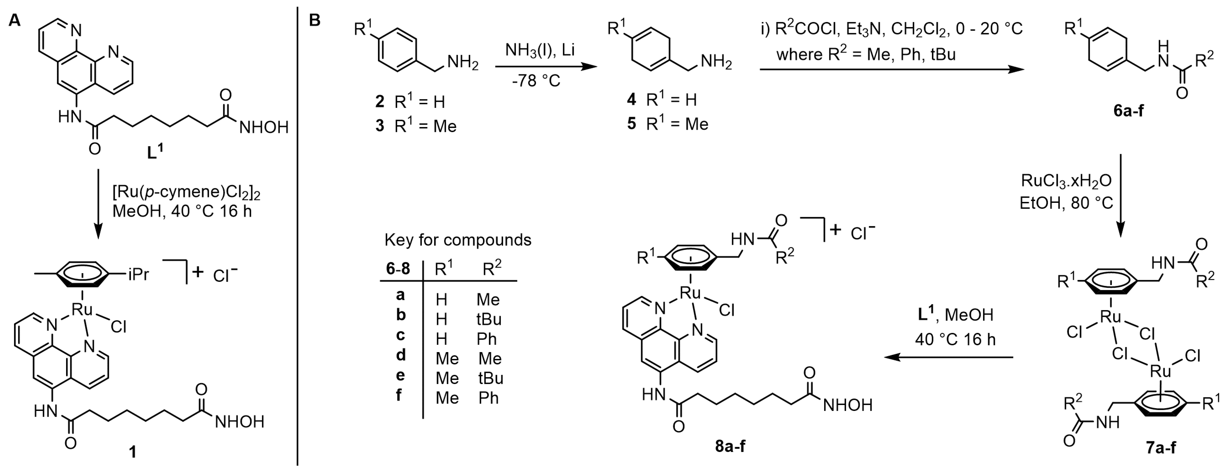 Molecules 25 02383 sch001 Molecules 25 02383 sch001
