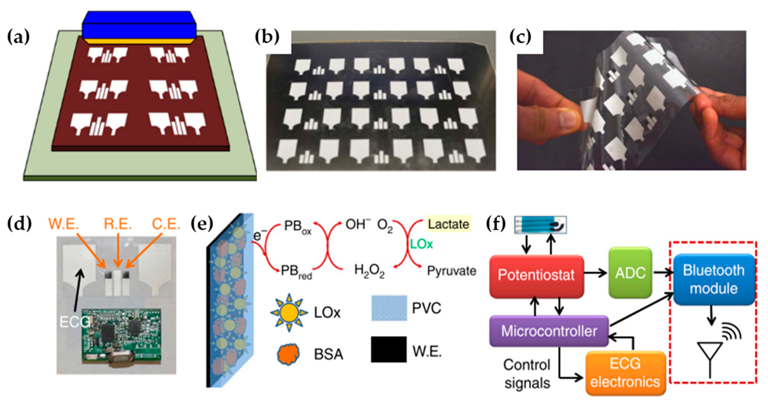 Molecules Free Full Text Polymers And Plastics Modified Electrodes For Biosensors A Review Html