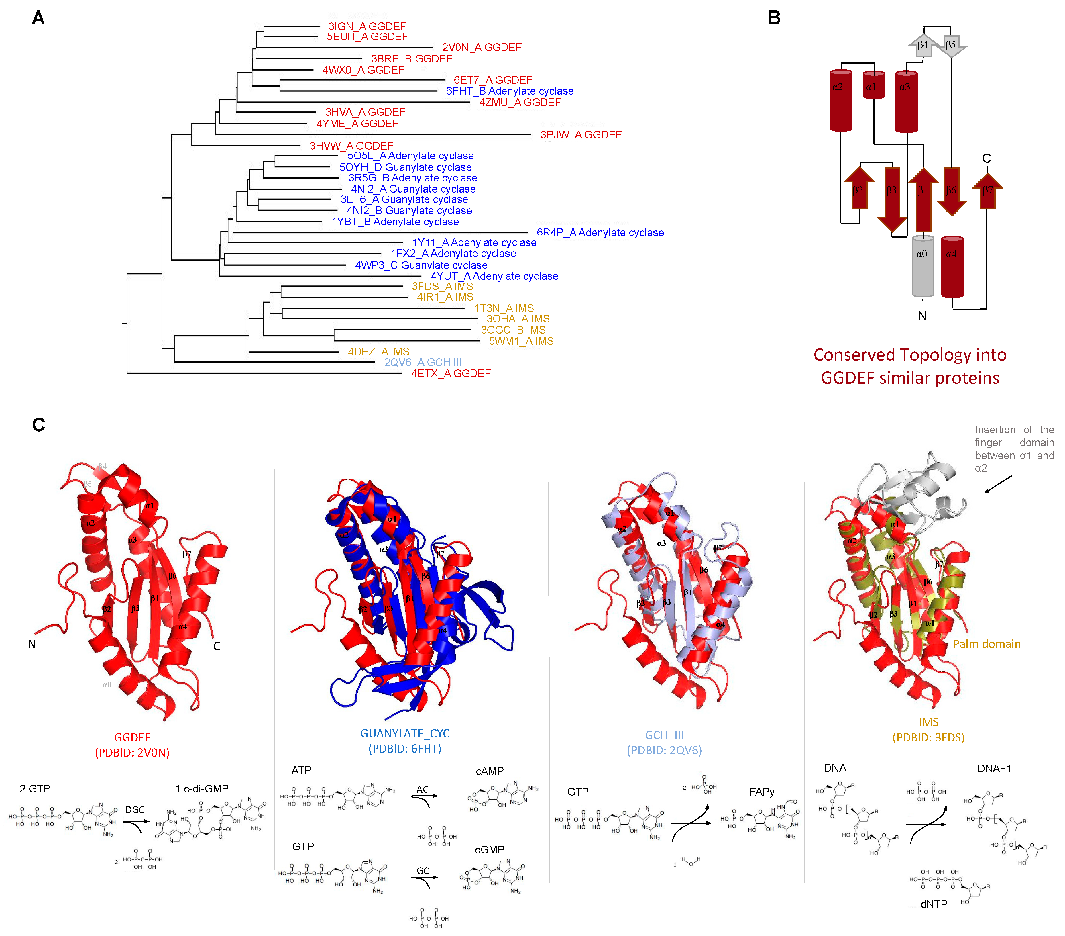 Molecules 25 02462 g001 Molecules 25 02462 g001