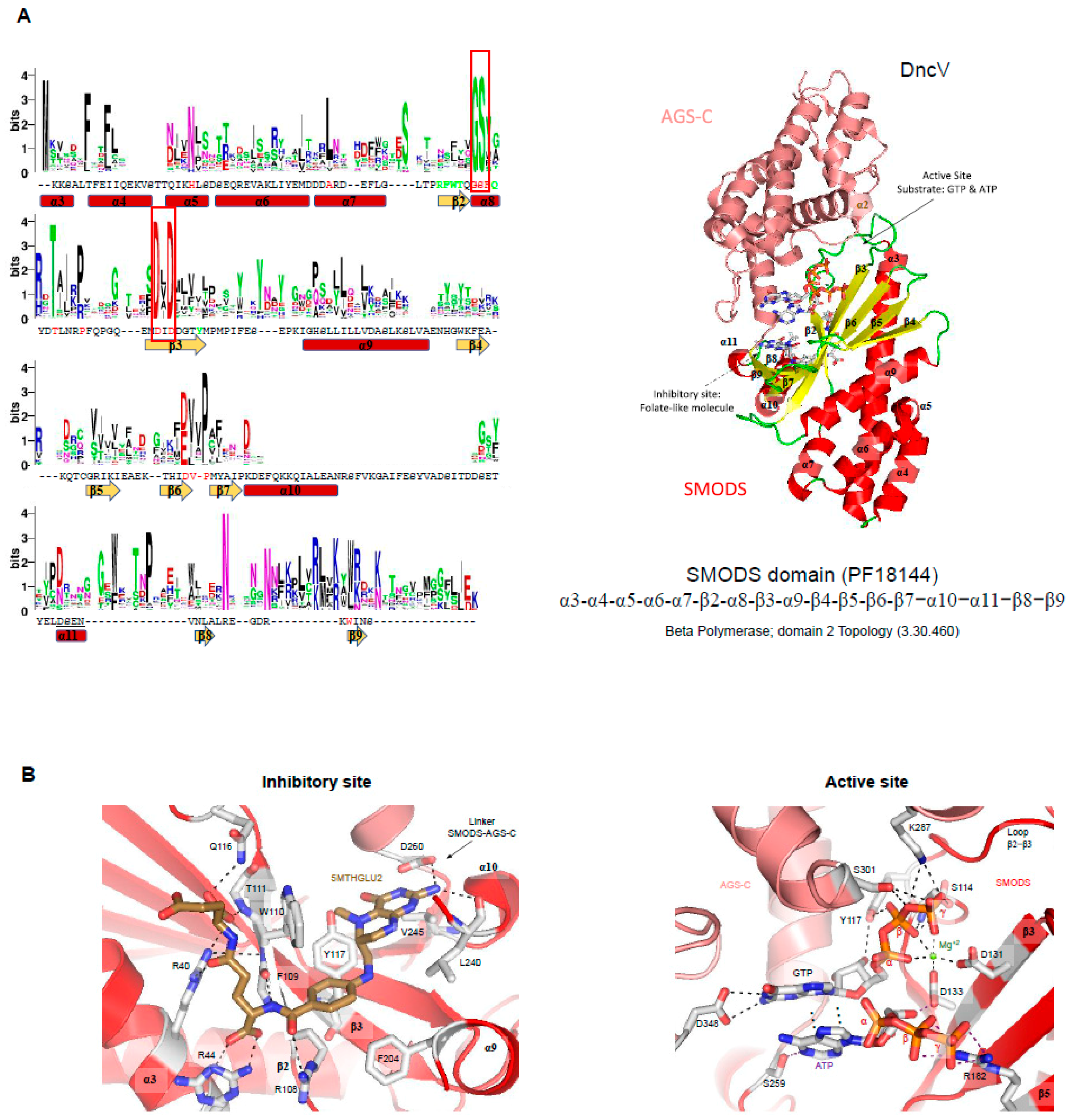 Molecules 25 02462 g005 Molecules 25 02462 g005