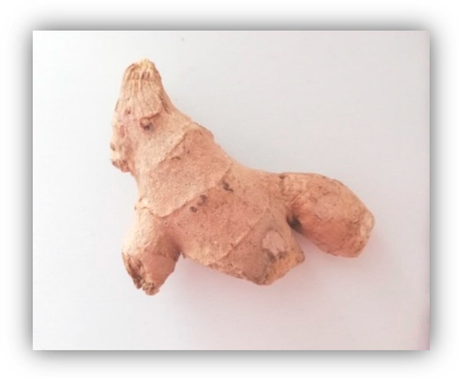 Molecules 25 02478 g005 Molecules 25 02478 g005