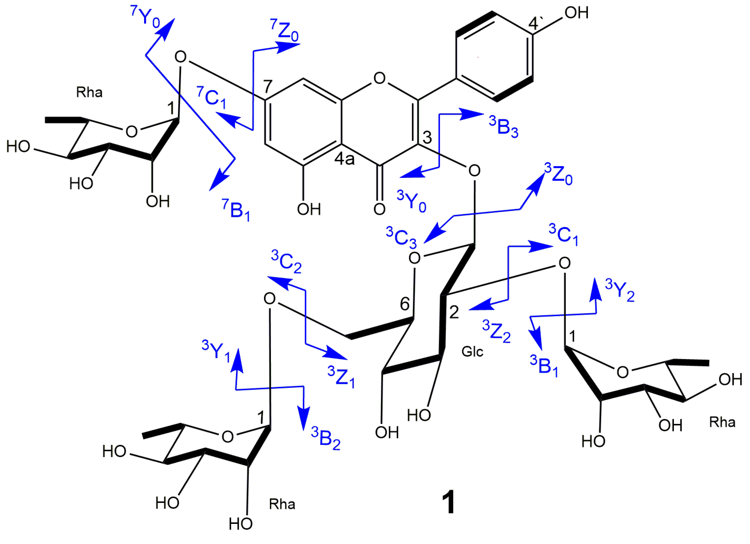 Molecules 25 02481 g003