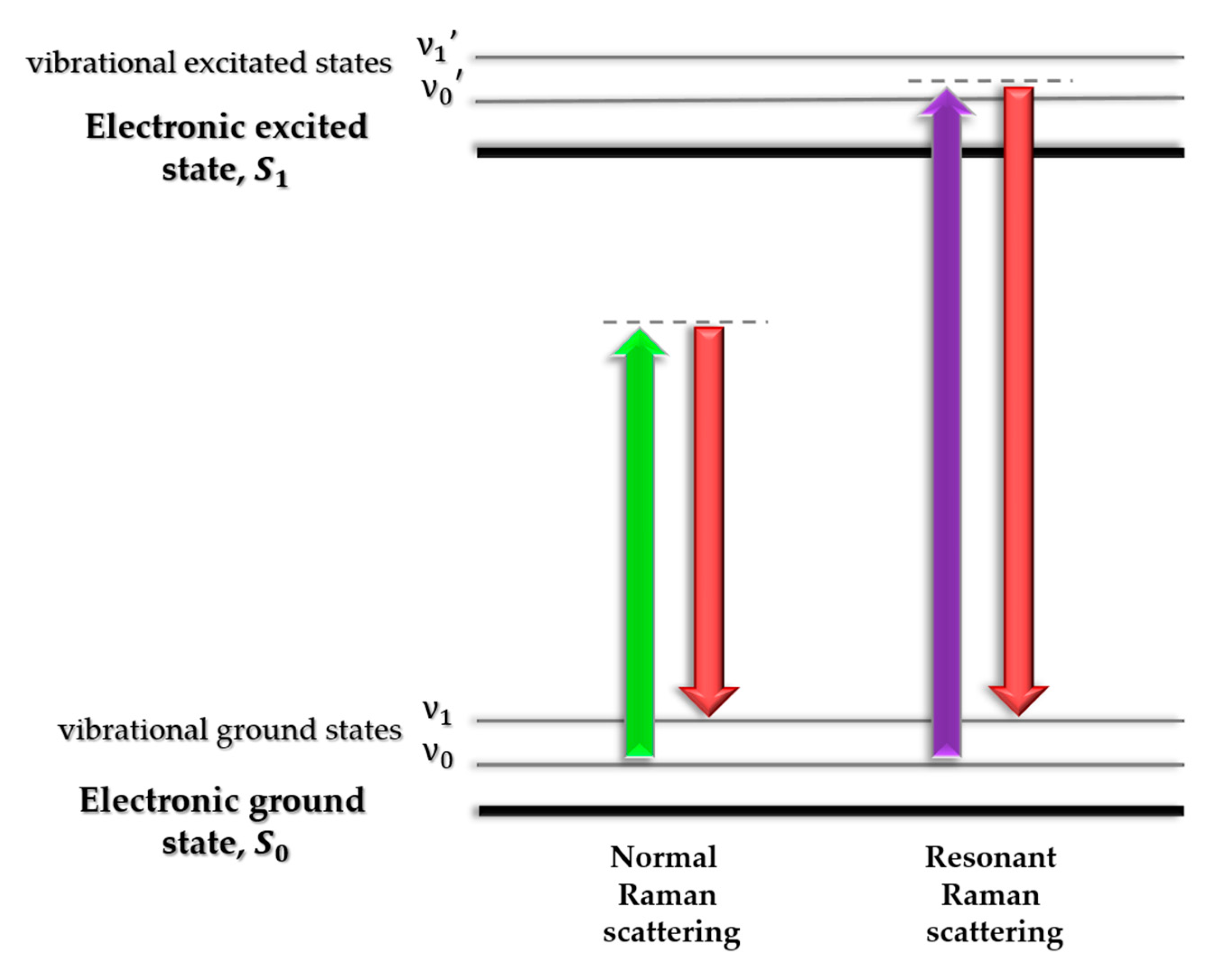 Molecules 25 02498 g006 Molecules 25 02498 g006