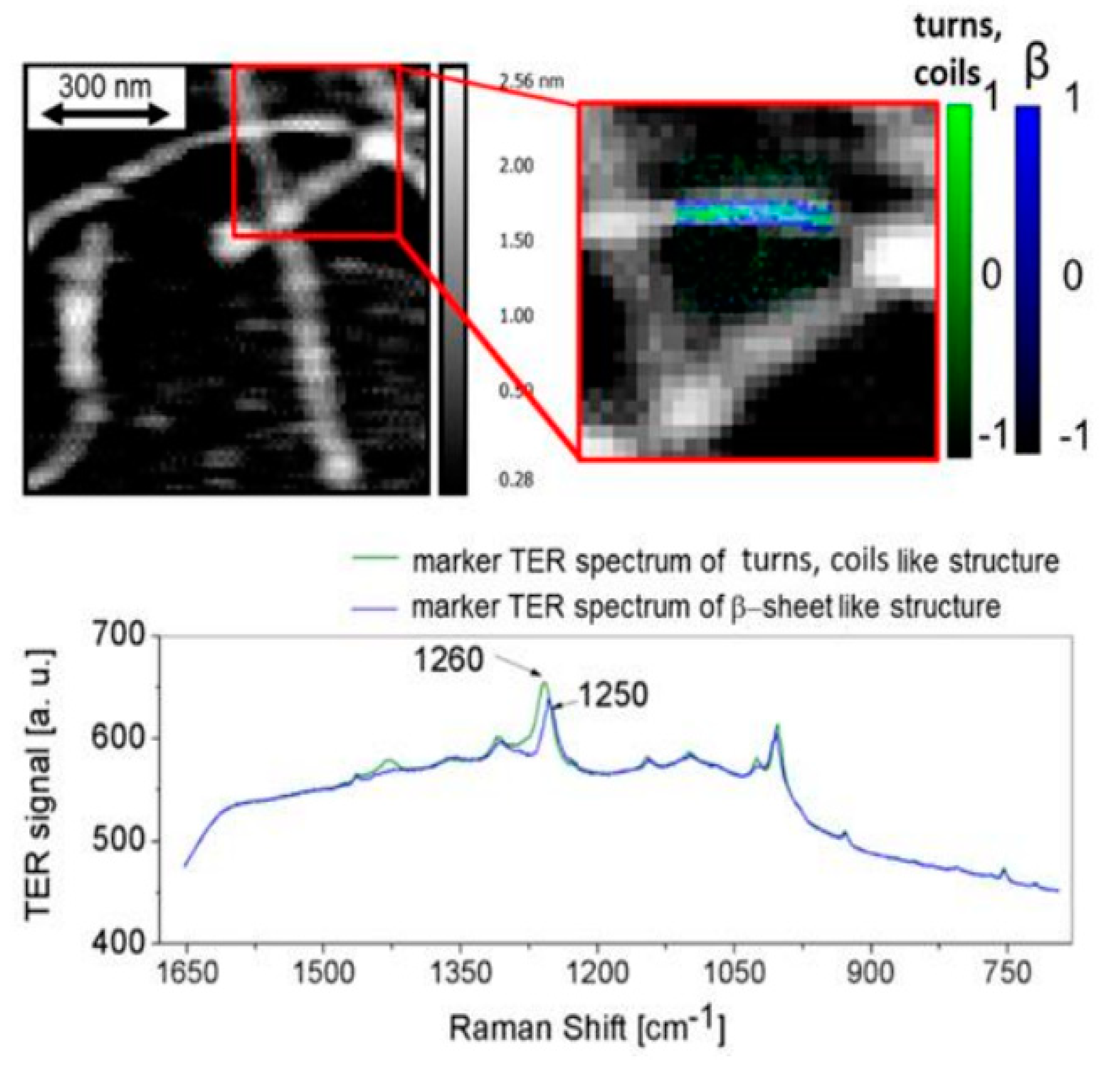 Molecules 25 02498 g007 Molecules 25 02498 g007