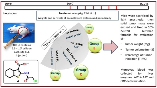 Molecules Free Full Text Discovery Of New Apoptosis Inducing Agents For Breast Cancer Based On Ethyl 2 Amino 4 5 6 7 Tetra Hydrobenzo B Thiophene 3 Carboxylate Synthesis In Vitro And In Vivo Activity Evaluation Html