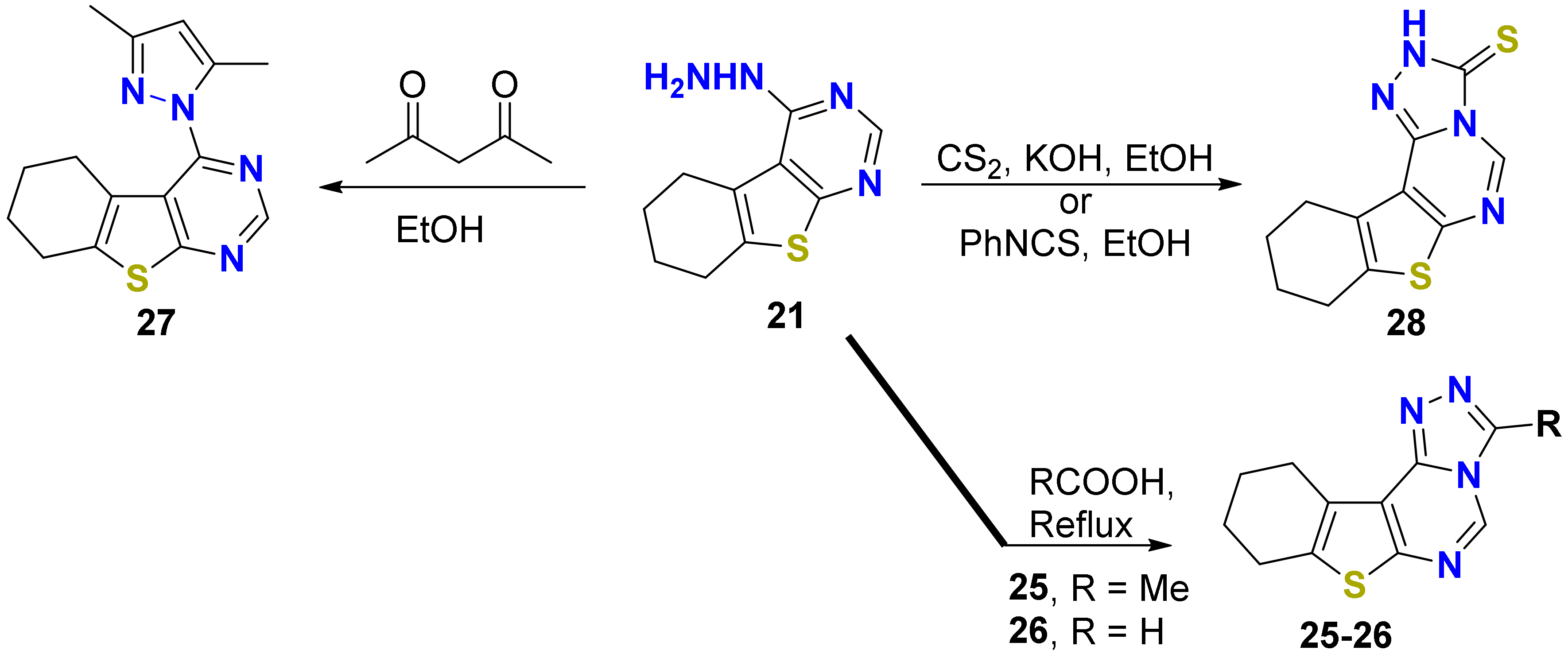 Molecules Free Full Text Discovery Of New Apoptosis Inducing Agents For Breast Cancer Based On Ethyl 2 Amino 4 5 6 7 Tetra Hydrobenzo B Thiophene 3 Carboxylate Synthesis In Vitro And In Vivo Activity Evaluation Html