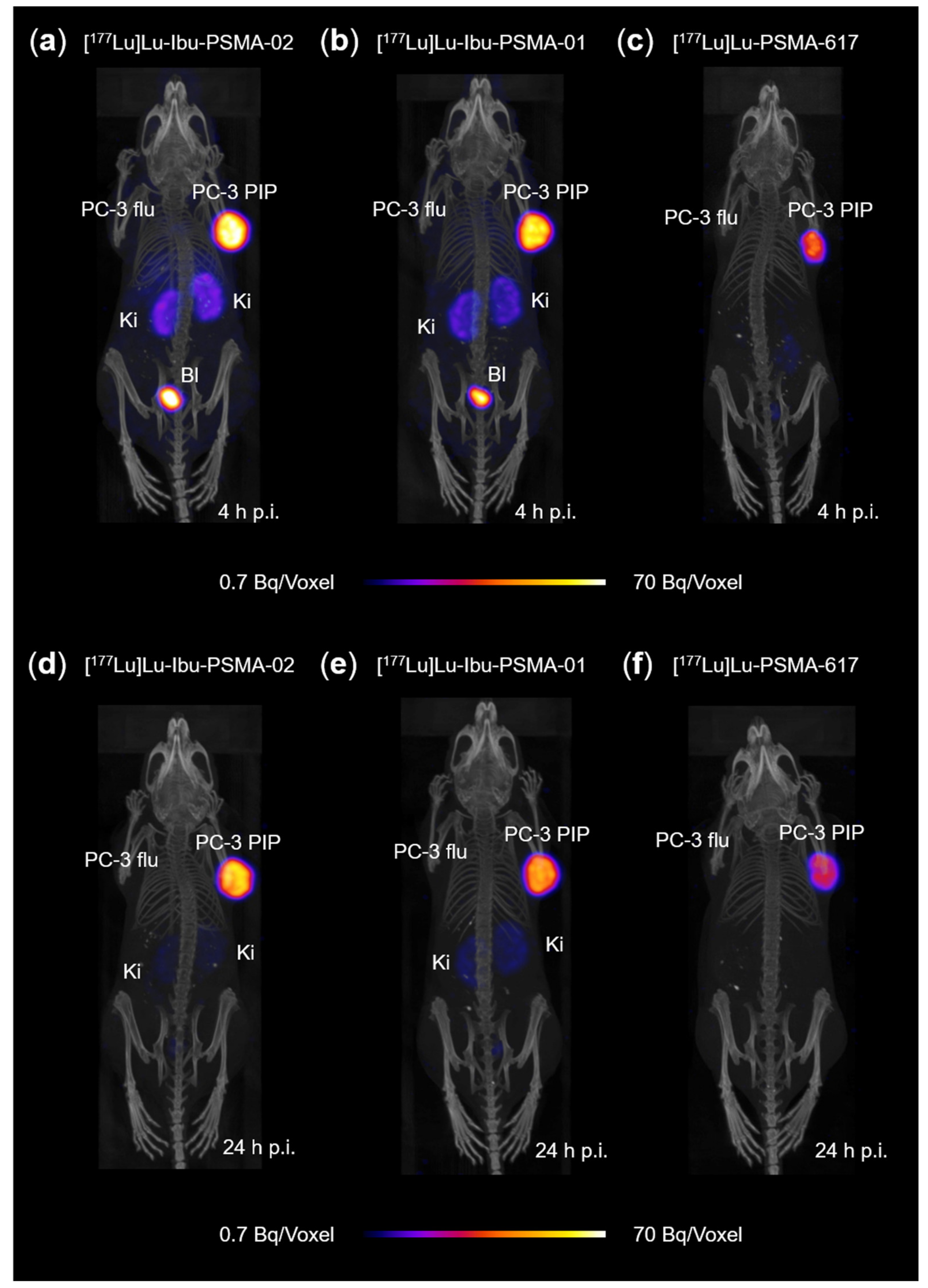 Molecules 25 02542 g007