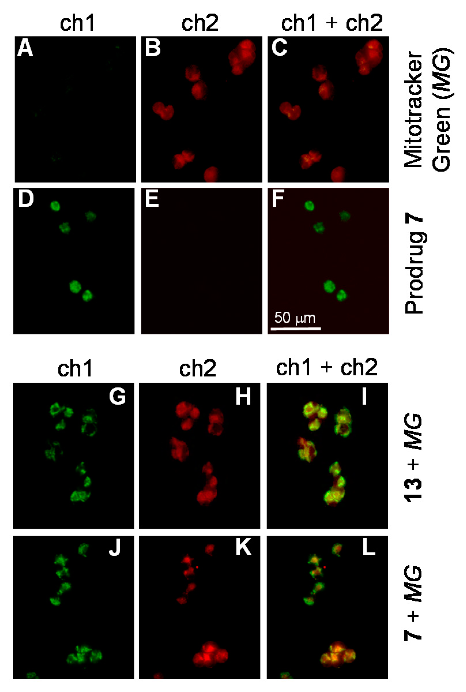 Molecules 25 02545 g004 Molecules 25 02545 g004