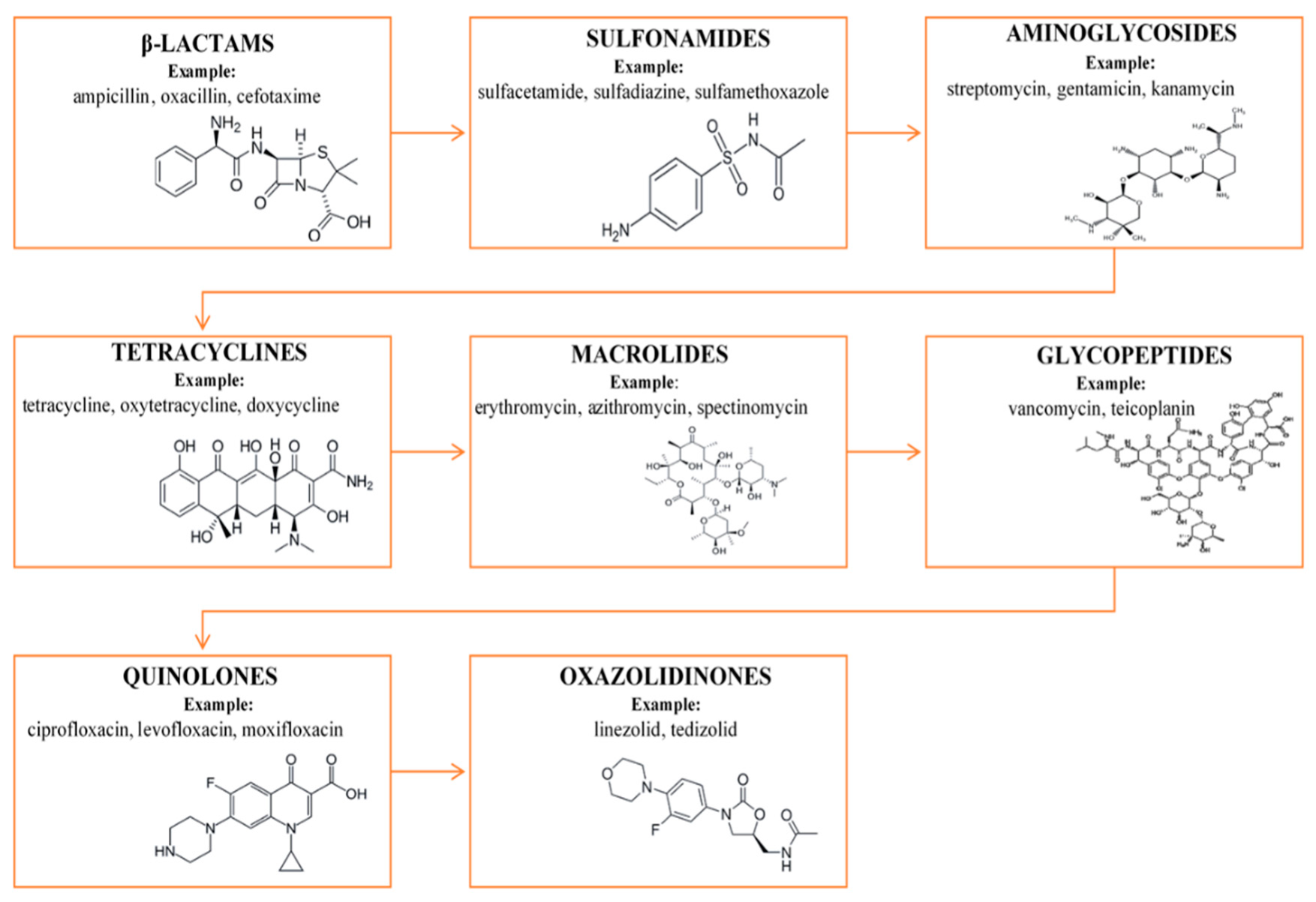 Molecules Free Full Text Determination And Identification Of Antibiotic Drugs And Bacterial Strains In Biological Samples Html