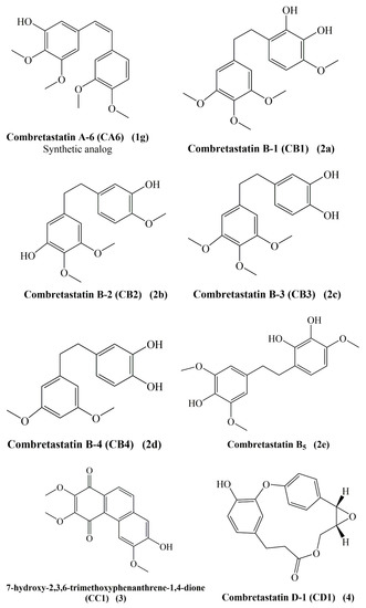 Molecules Free Full Text Combretastatins An Overview Of Structure Probable Mechanisms Of Action And Potential Applications Html