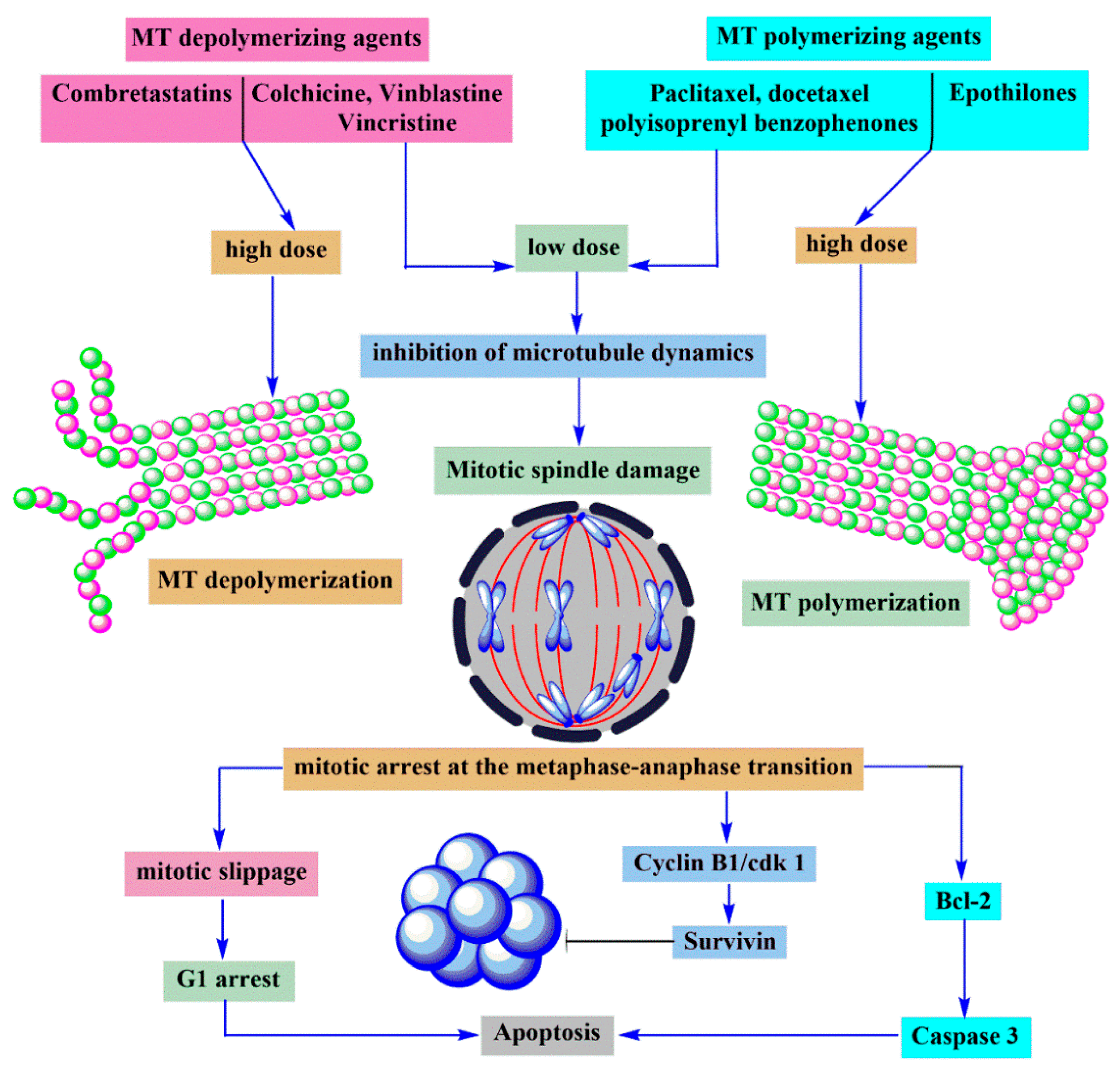 Molecules 25 02560 g009 Molecules 25 02560 g009