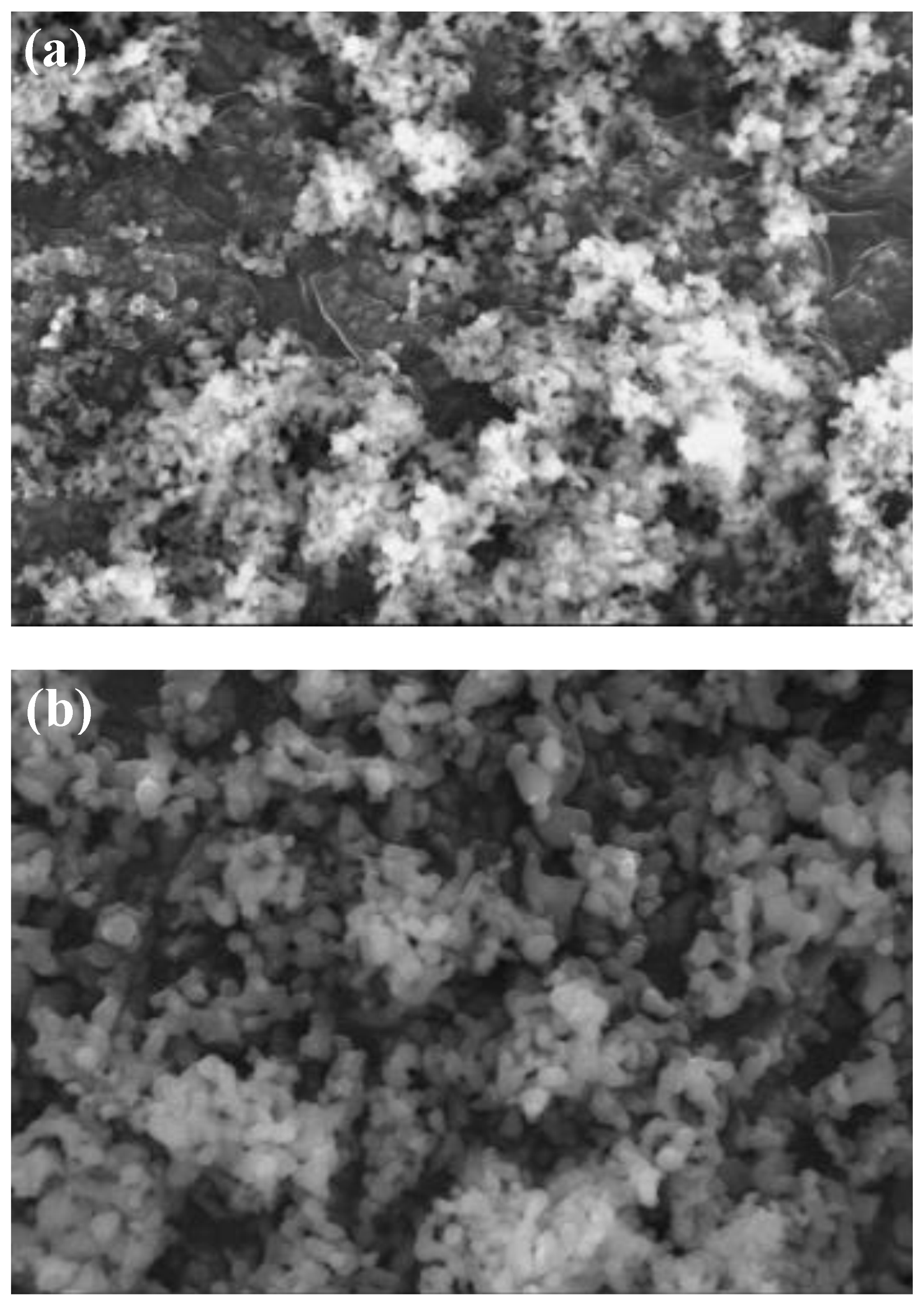 Molecules 25 02565 g005 Molecules 25 02565 g005