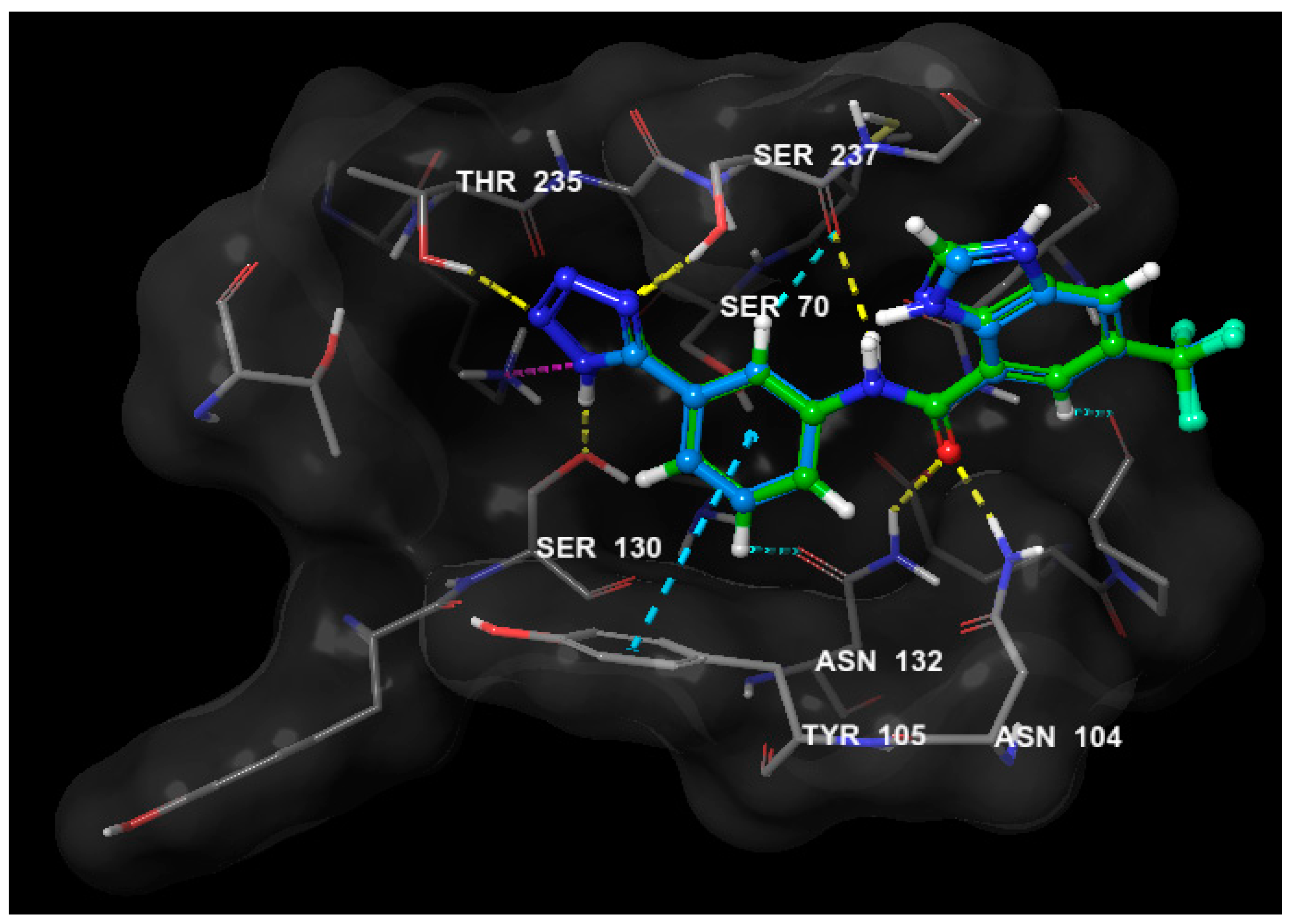 Molecules 25 02566 g007 Molecules 25 02566 g007