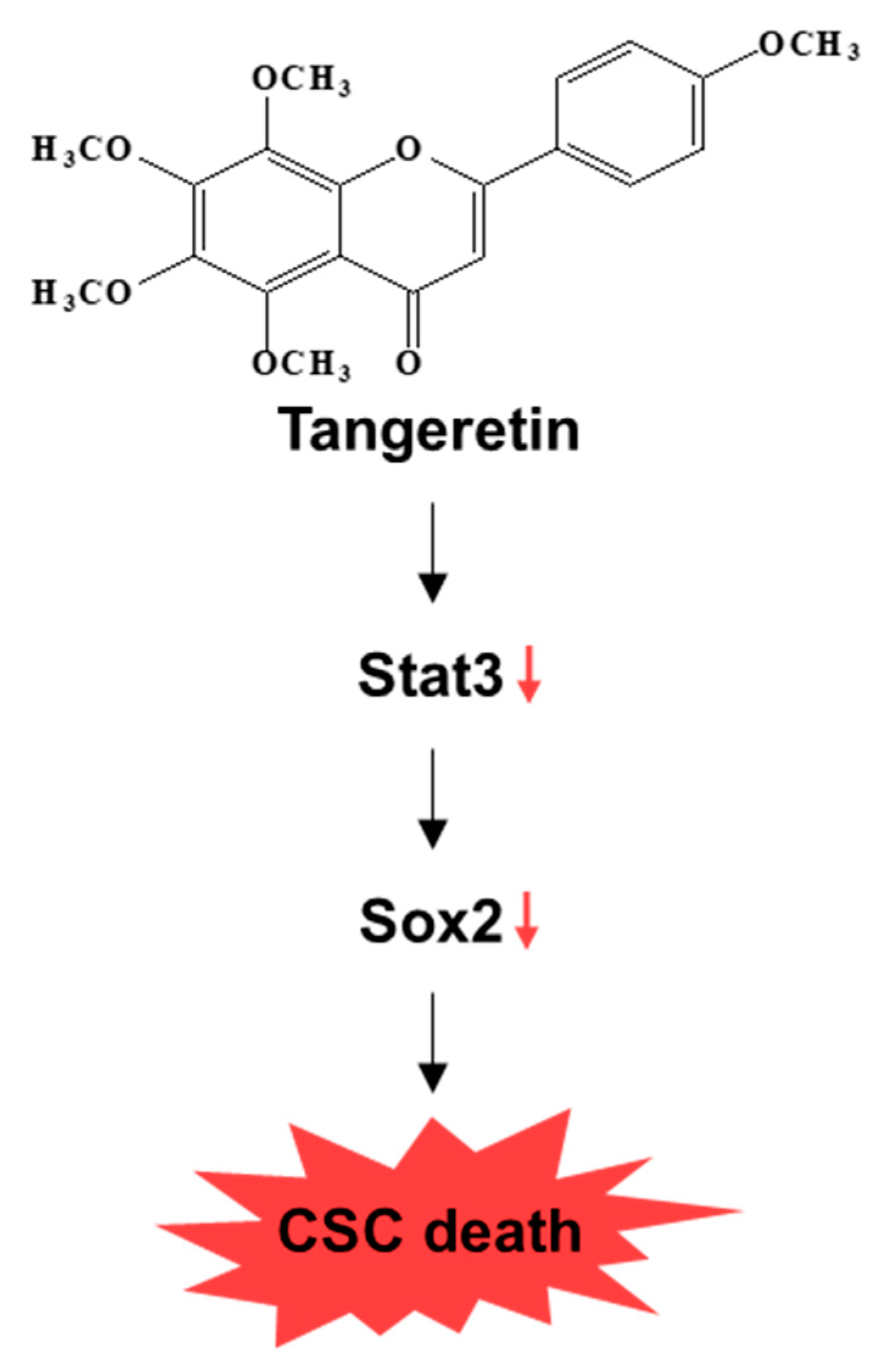 Molecules 25 02599 g008 Molecules 25 02599 g008