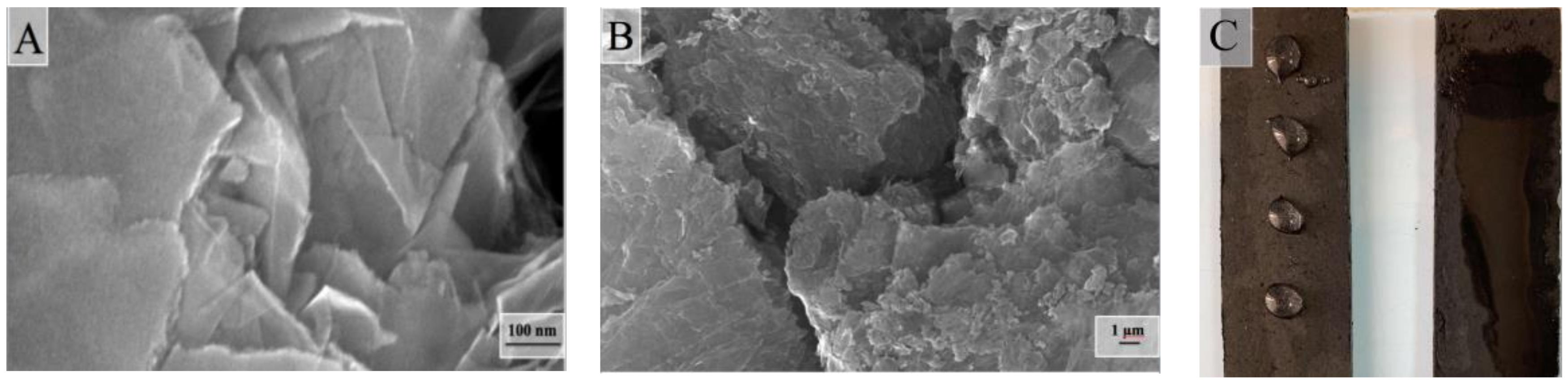 Molecules 25 02620 g014