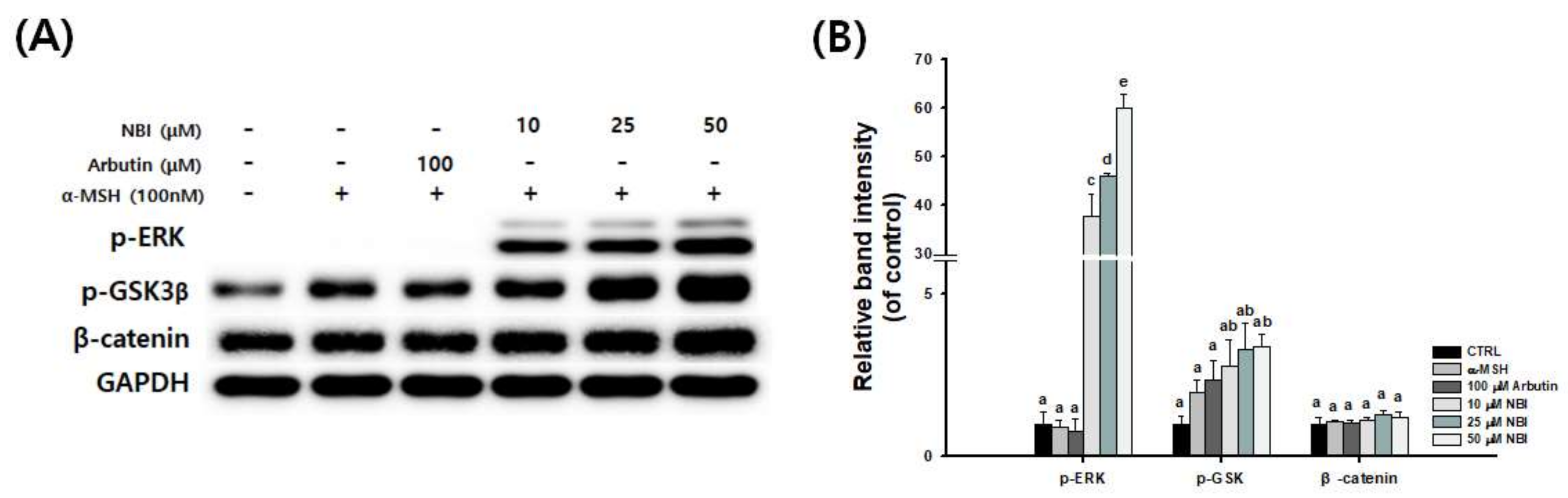 Molecules 25 02683 g007 Molecules 25 02683 g007
