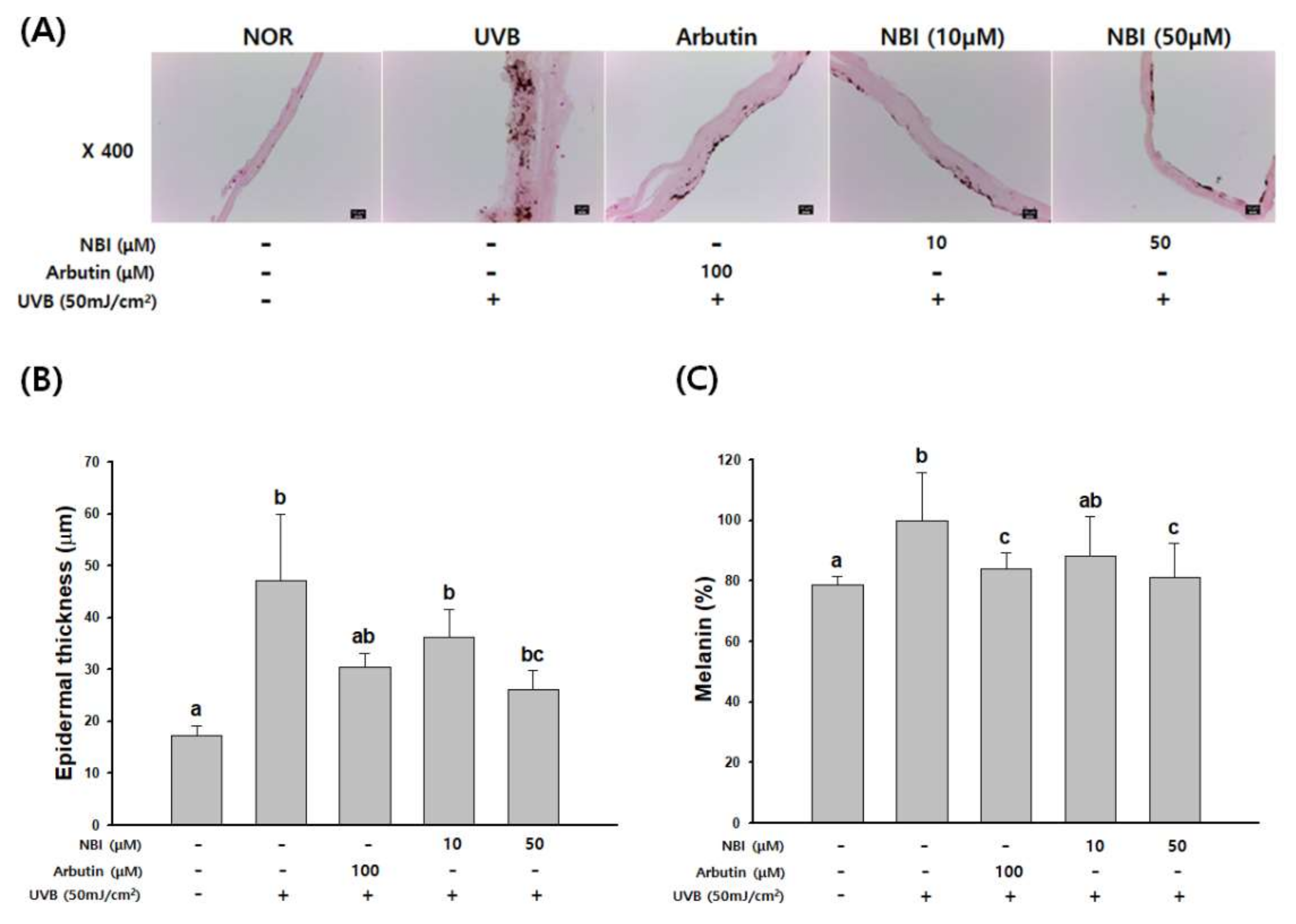 Molecules 25 02683 g009 Molecules 25 02683 g009