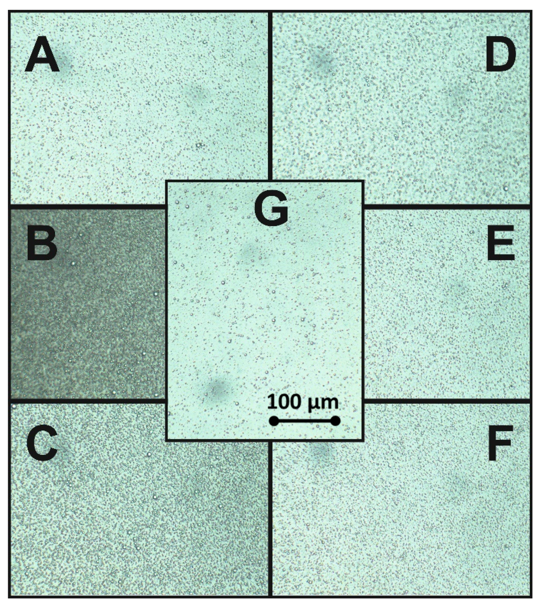 Molecules 25 02696 g004 Molecules 25 02696 g004