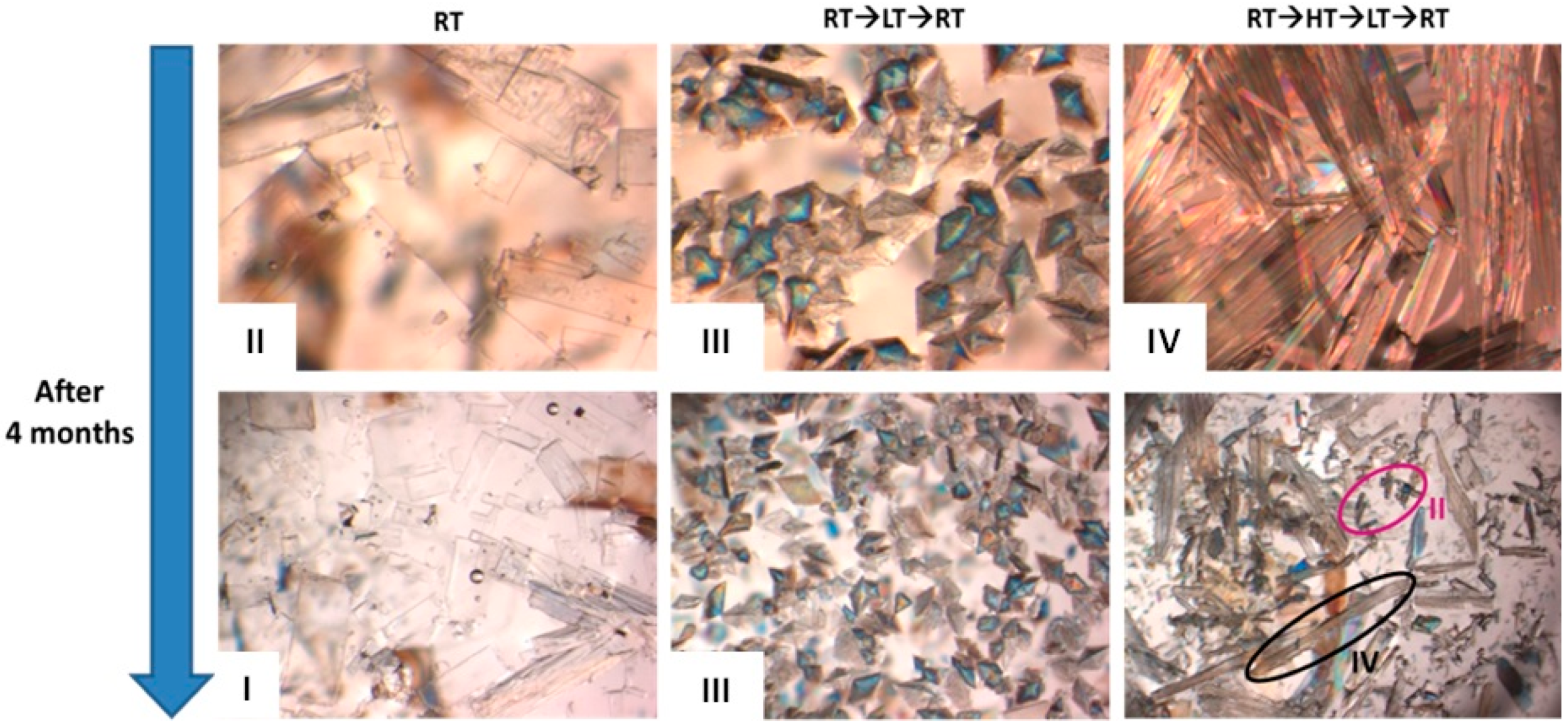 Molecules 25 02705 g003